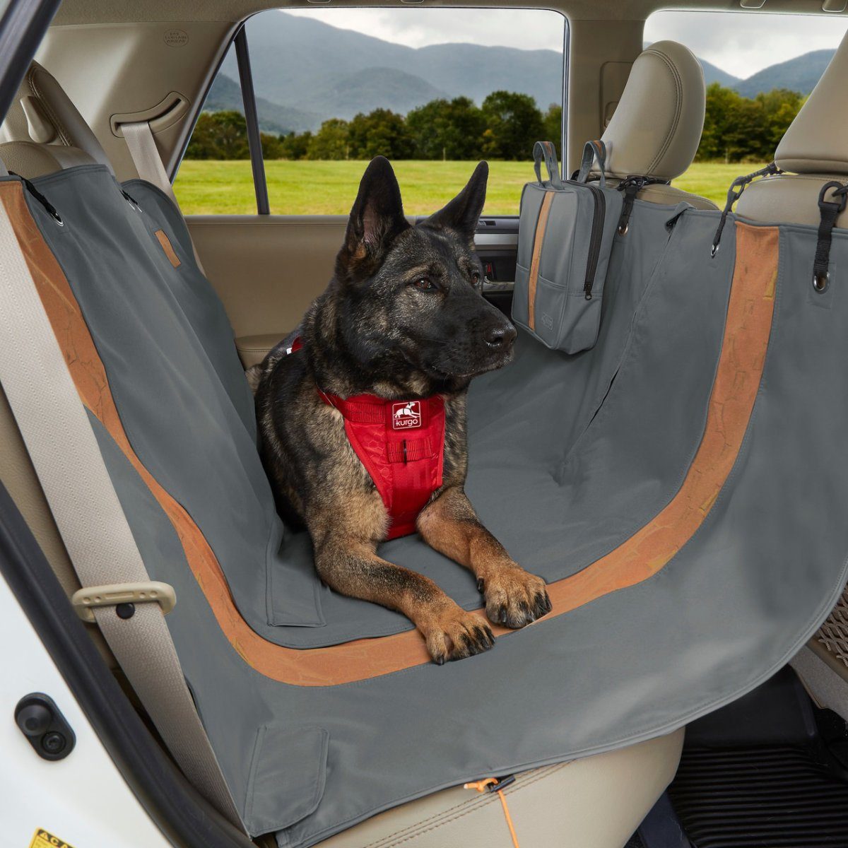 Kurgo car hammock discount