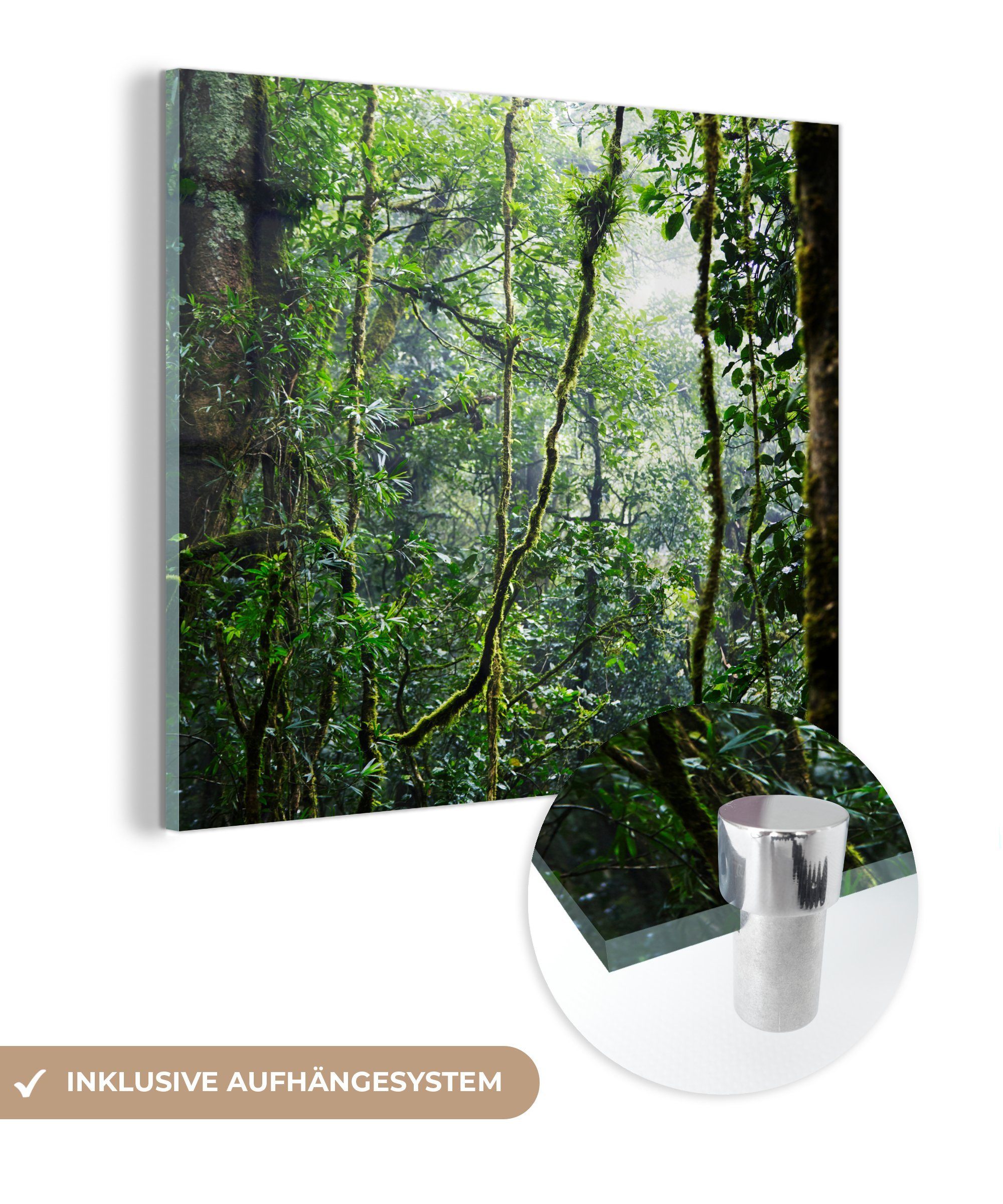 MuchoWow Acrylglasbild Tropischer Regenwald, (1 St), Glasbilder - Bilder auf Glas Wandbild - Foto auf Glas - Wanddekoration