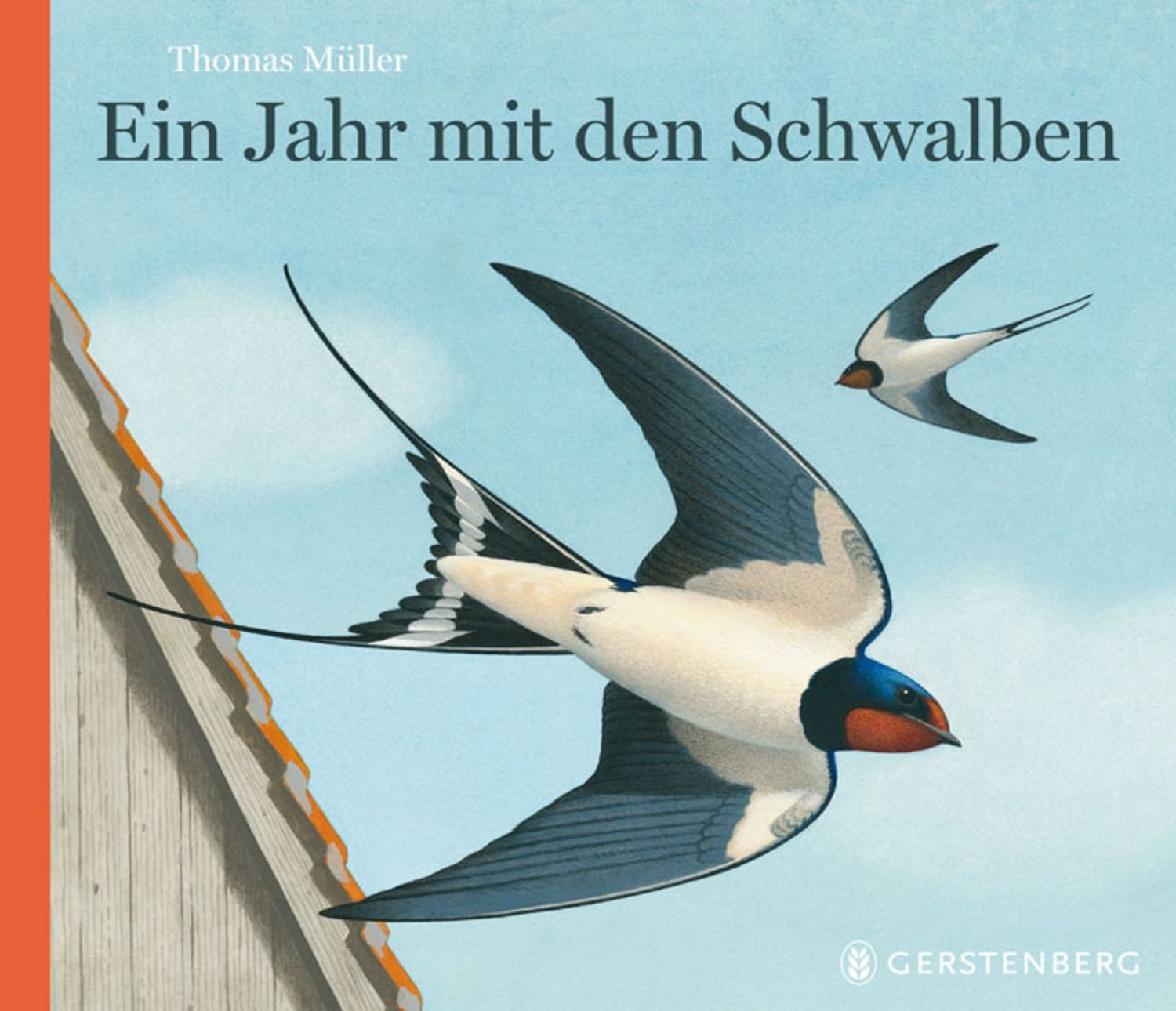 Ein Jahr mit den Schwalben / Thomas Müller