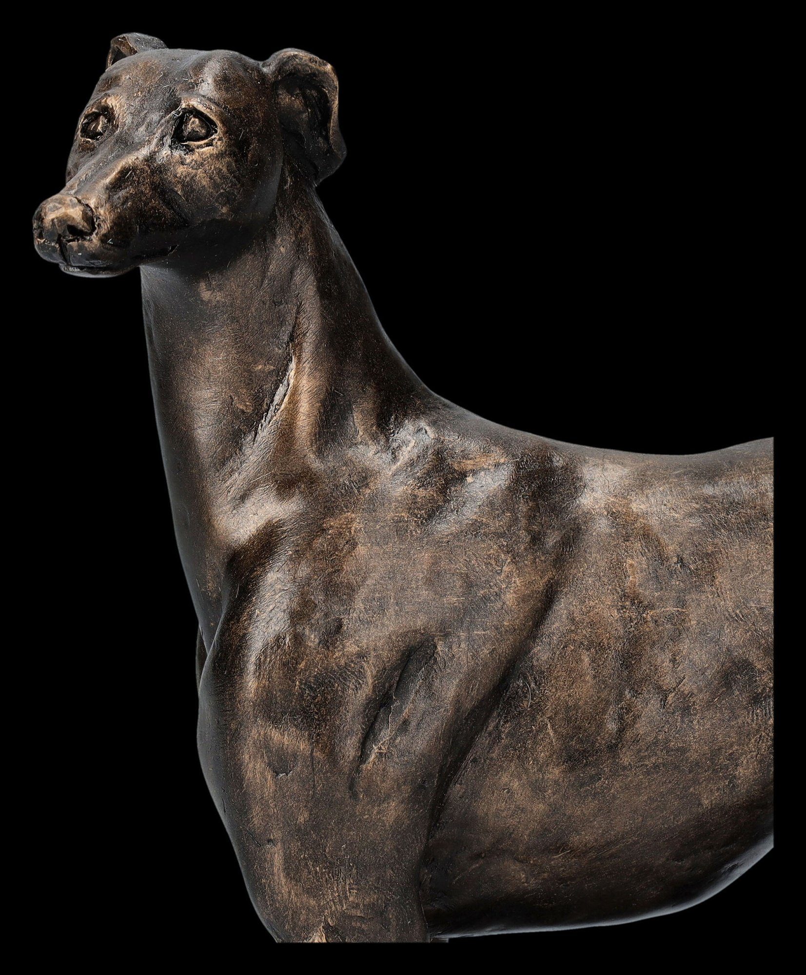 Shop der GmbH Tierfigur - Windhund Dekofigur Figuren Figur Greyhound Dekration - Gus Hundefigur