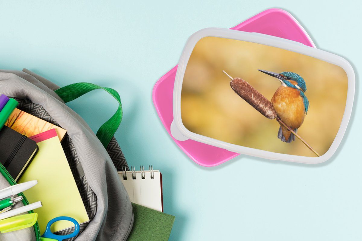Kinder, - Lunchbox Eisvogel - Snackbox, Brotbox rosa (2-tlg), MuchoWow Mädchen, Kunststoff, Brotdose Natur für Vogel, Kunststoff Erwachsene,