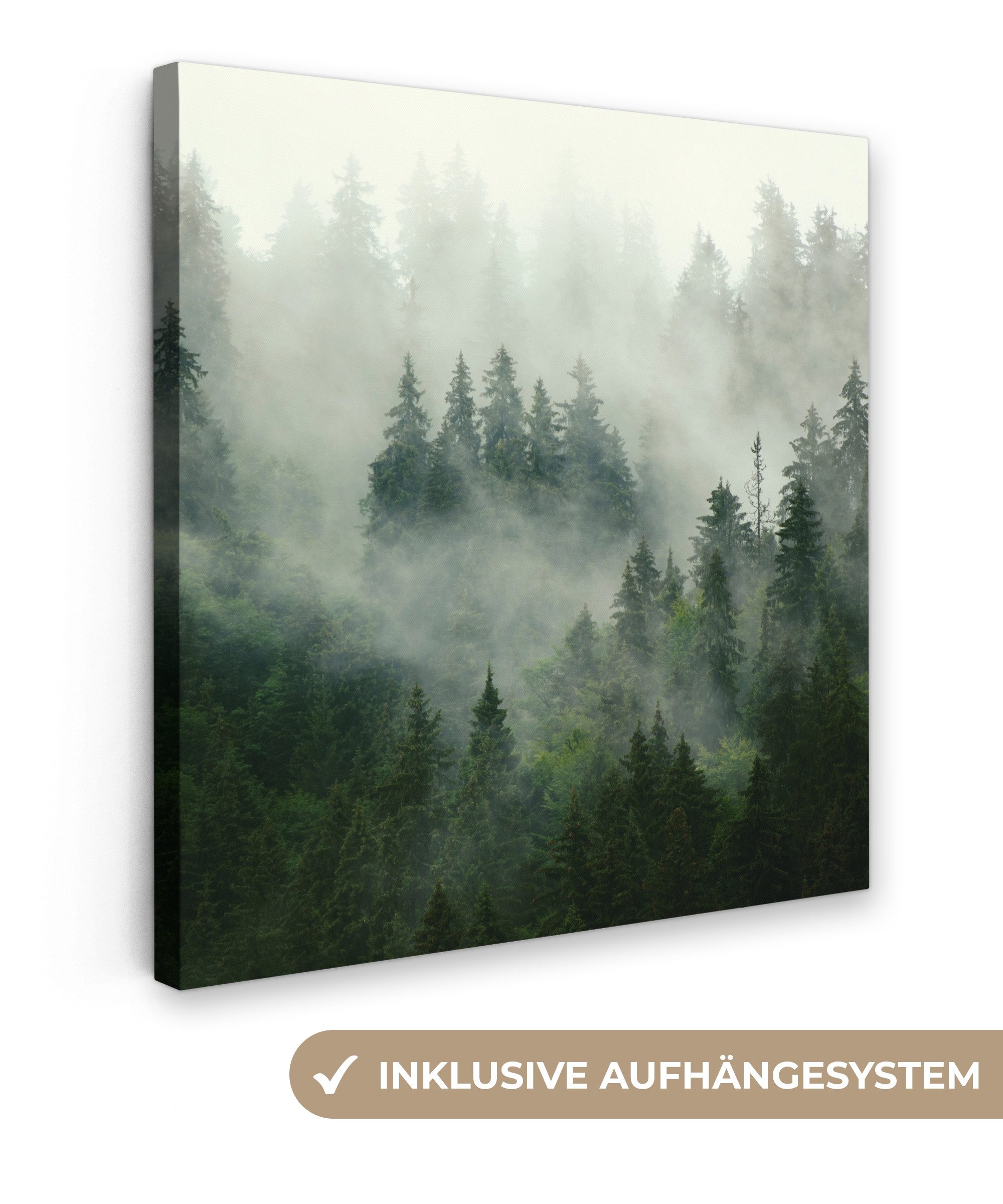 OneMillionCanvasses® Leinwandbild Wald - Nebel - Bäume - Natur, Fotodruck ( günstig online kaufen