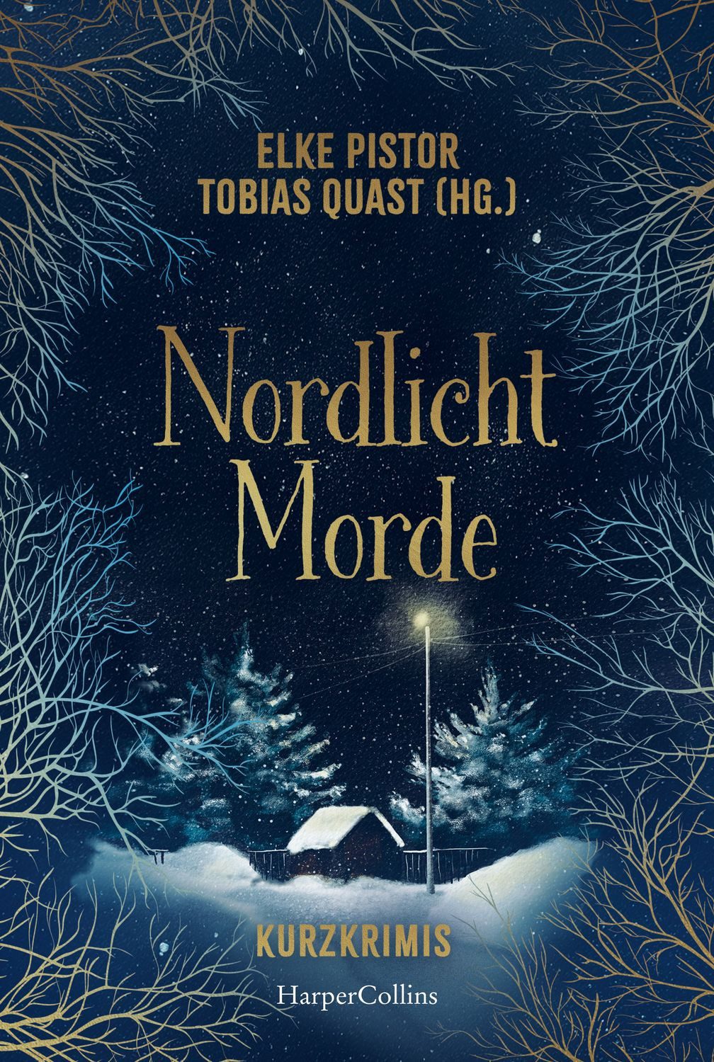 Nordlichtmorde. 20 Kurzkrimis / Anne Nørdby, Elke Pistor, Ralf Kramp, Tobias Quast, Sandra Åslund
