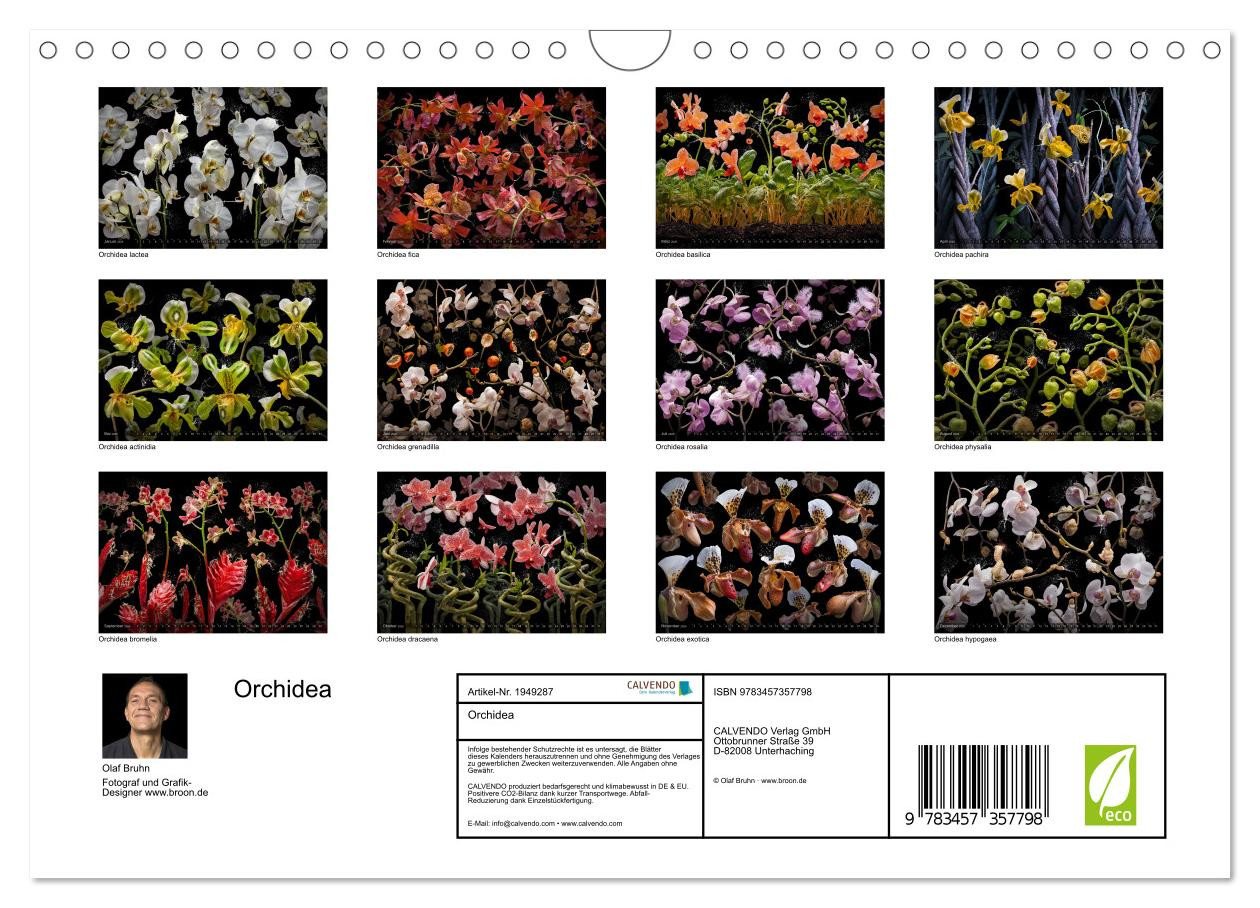 Thumbnail - CALVENDO Wandkalender Orchidea (Wandkalender 2026 DIN A4 quer), CALVENDO Monatskalender
