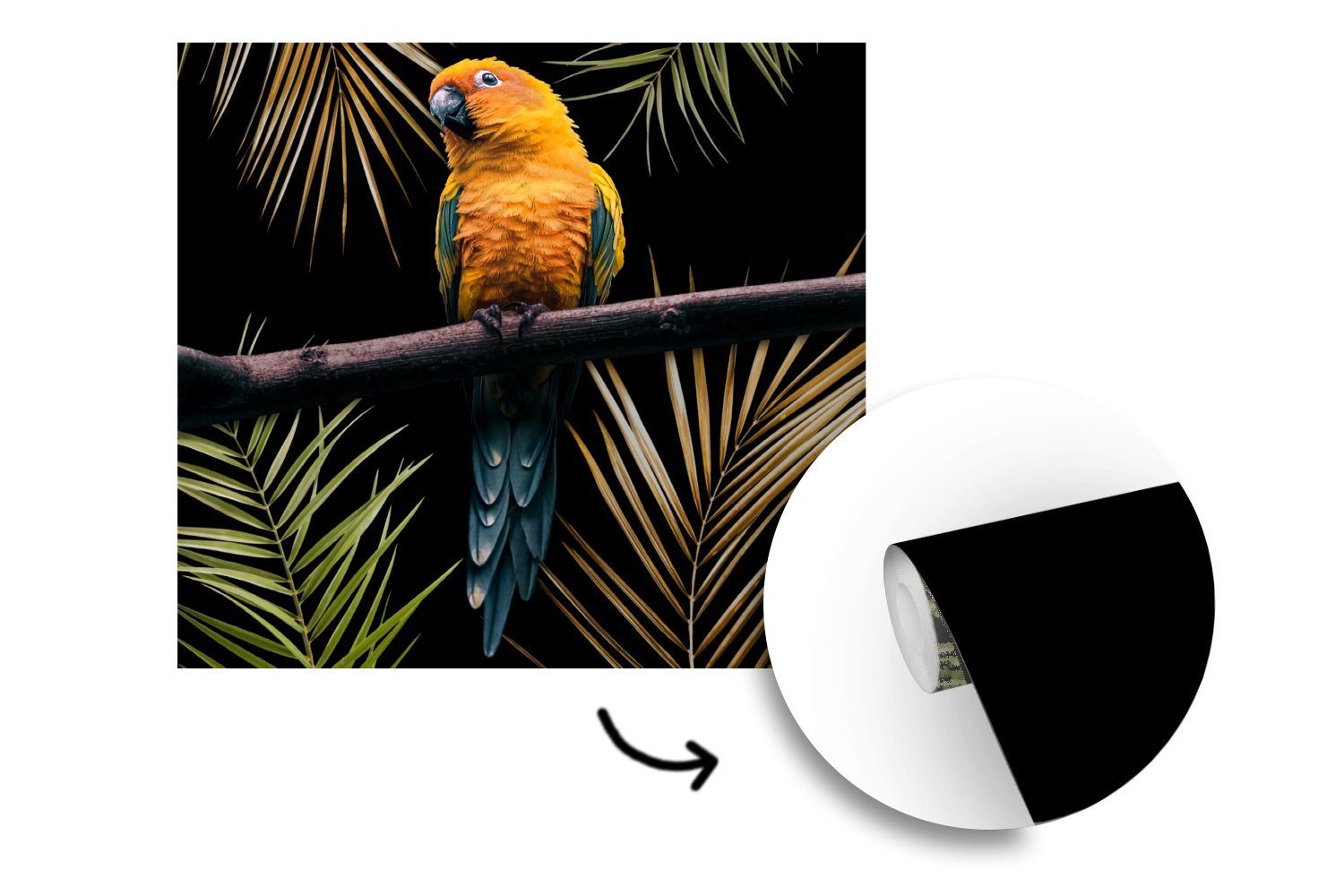 (5 - Blätter, Wohnzimmer Fototapete - für Wandtapete Vinyl St), oder MuchoWow Vogel Papagei Zweig Matt, bedruckt, - Schlafzimmer, Tapete