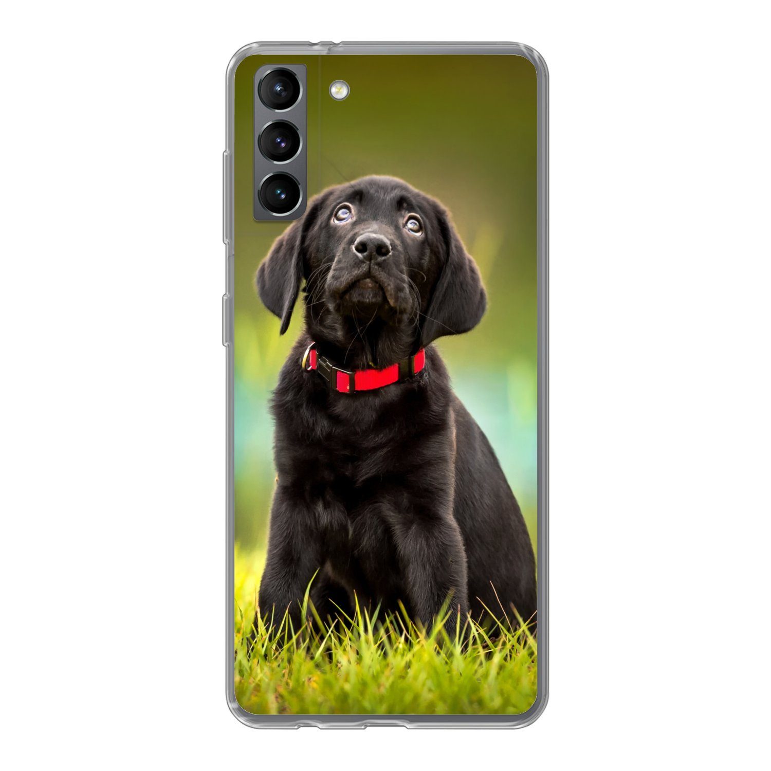 MuchoWow Handyhülle für Samsung Galaxy S21 Plus Ein schwarzer Labrador Retriever schaut au, Phone Case, Silikon, Schutzhülle Dünn
