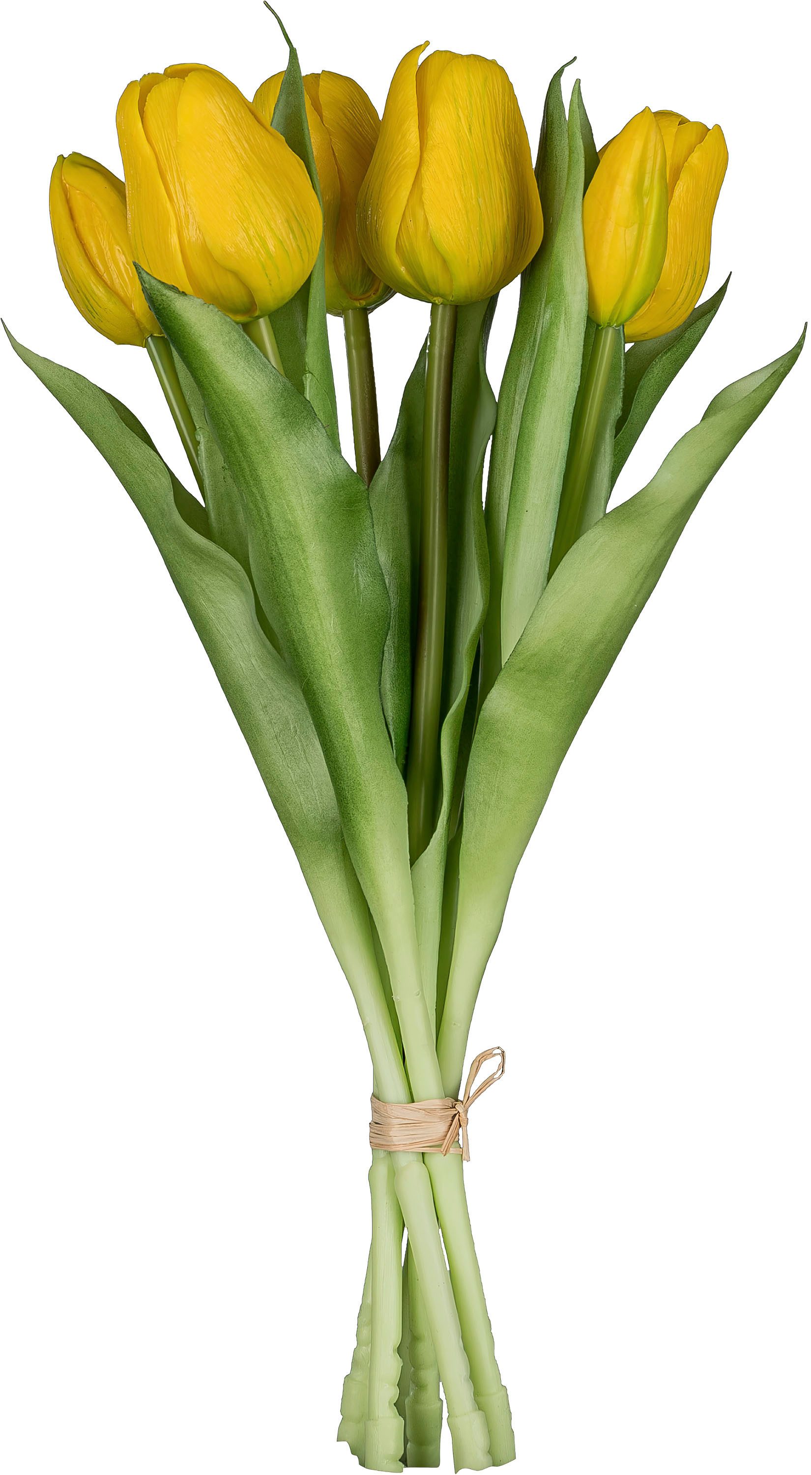 Kunsttulpe Tulpenbund, Creativ green, Höhe 32 cm, aus 6 Einzelstielen
