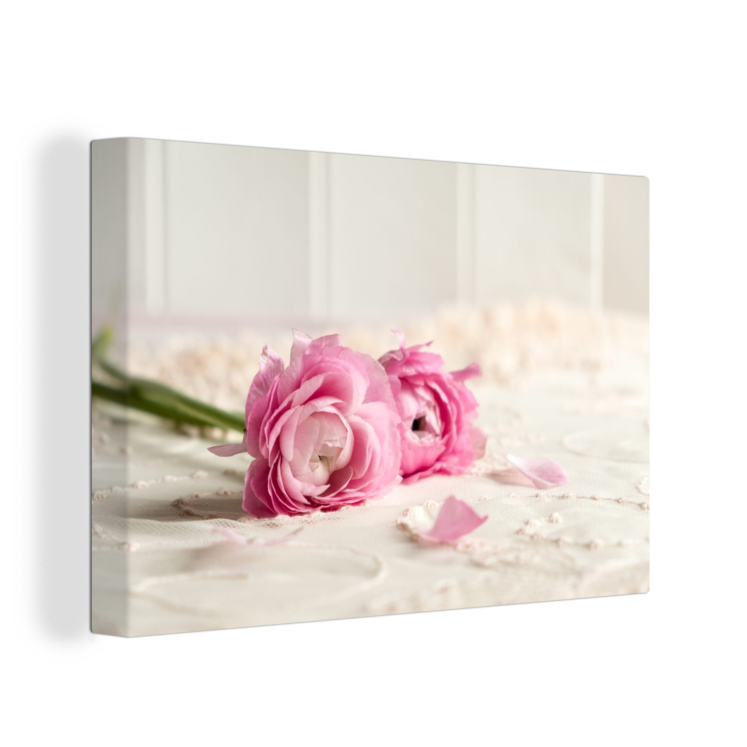 OneMillionCanvasses® Leinwandbild Rosa Ranunkelblüten auf einem Tisch, (1 St), Wandbild Leinwandbilder, Aufhängefertig, Wanddeko, 30x20 cm