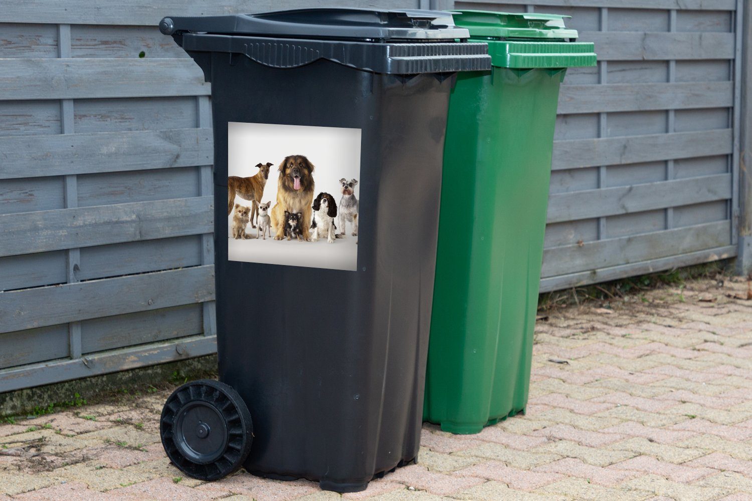 MuchoWow St), Wandsticker Gruppenbild Mülleimer-aufkleber, Mülltonne, Container, Sticker, (1 von Hunden Abfalbehälter