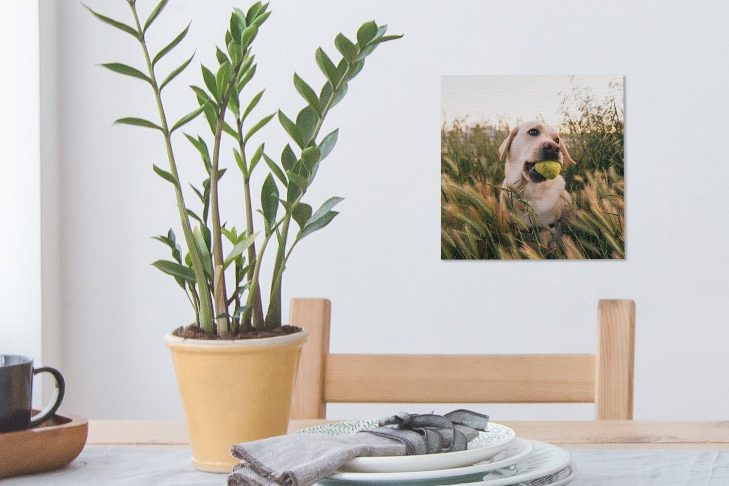 OneMillionCanvasses® Leinwandbild Labrador Retriever spielt Schlafzimmer Bilder St), Gras, einem Wohnzimmer Tennisball (1 im mit für Leinwand