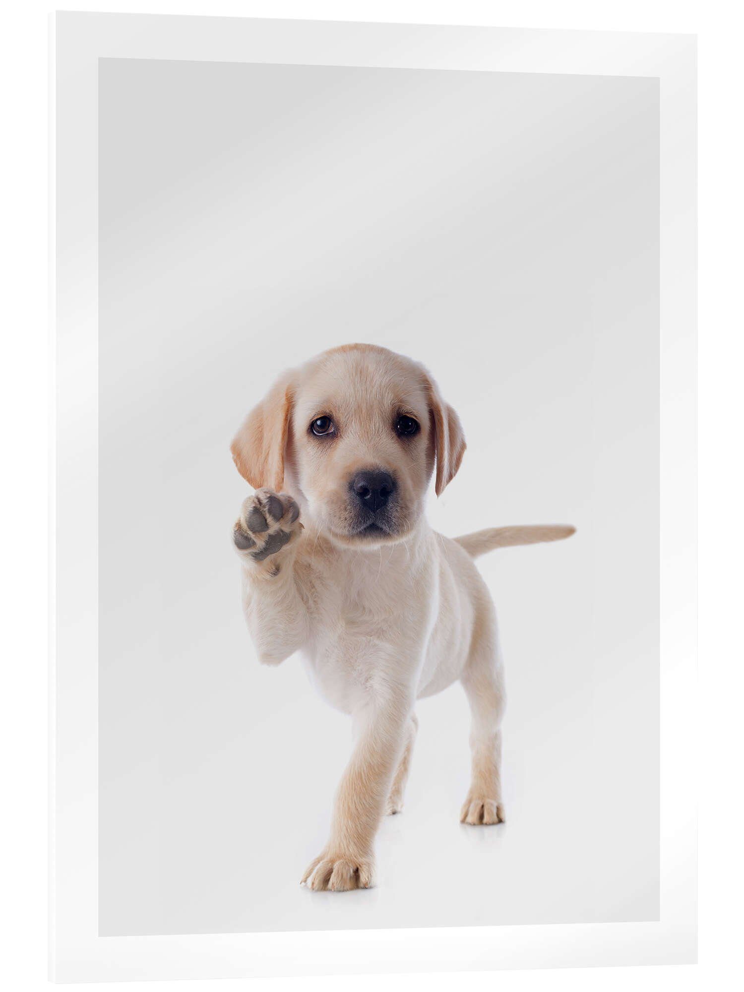 Posterlounge Wandbild Fröhlichr Retriever Welpe, Animal Kids Collection, erhältlich als Poster, Leinwandbild, Wandsticker oder Acrylglasbild
