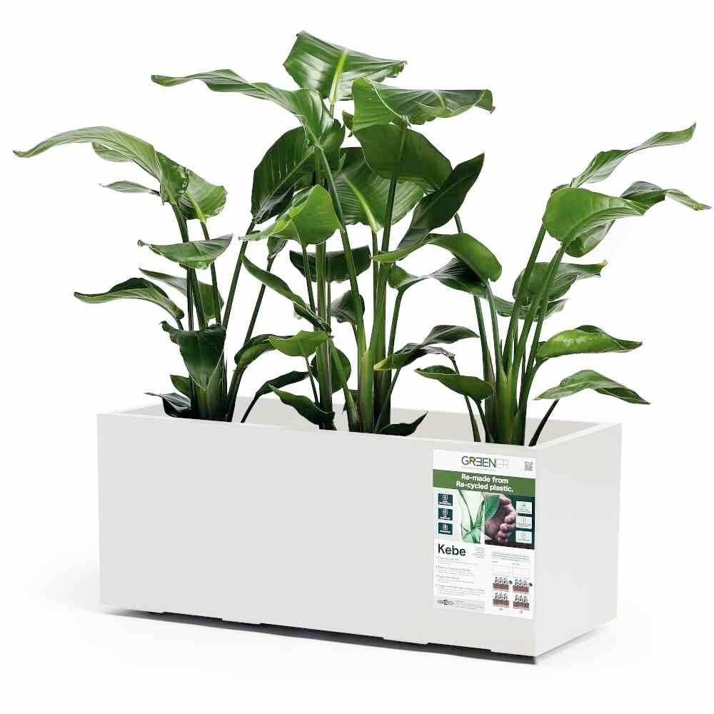 euro3plast Pflanzkübel 3154.03