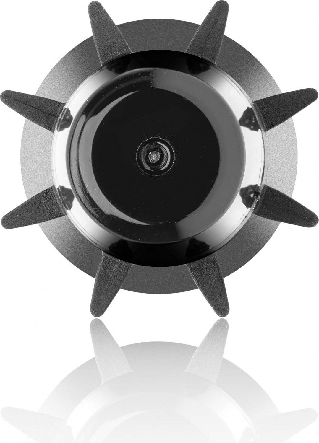 Xanitalia Haarbürste XanitaliaPro Haarbürste Liss Ø16mm/ Ø20mm von Sthauer
