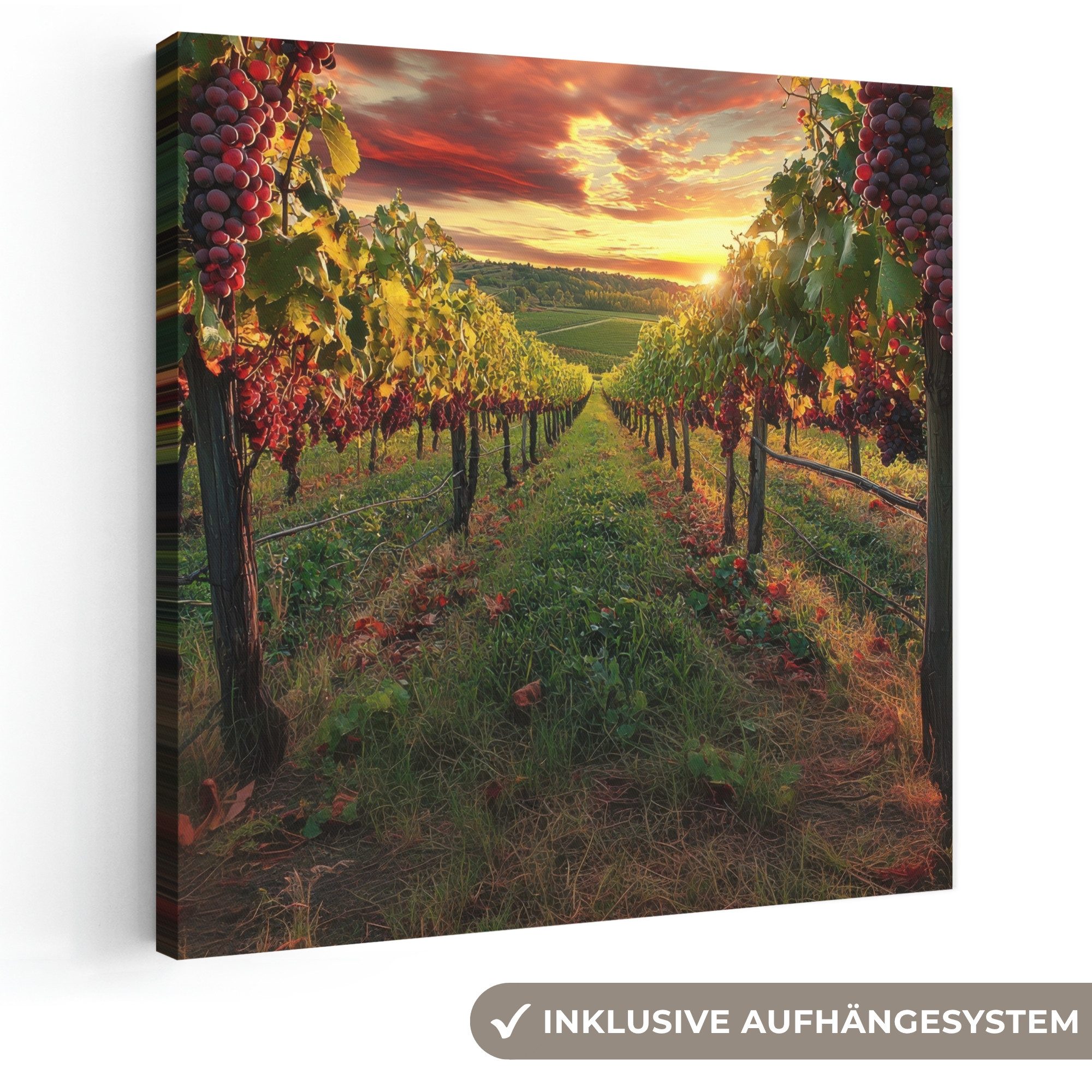 OneMillionCanvasses® Leinwandbild Weinberg - Weintrauben - Sonnenuntergang, Fotodruck (1 St), Wandbild, Deko Schlafzimmer Wohnzimmer Flur 20x20 cm