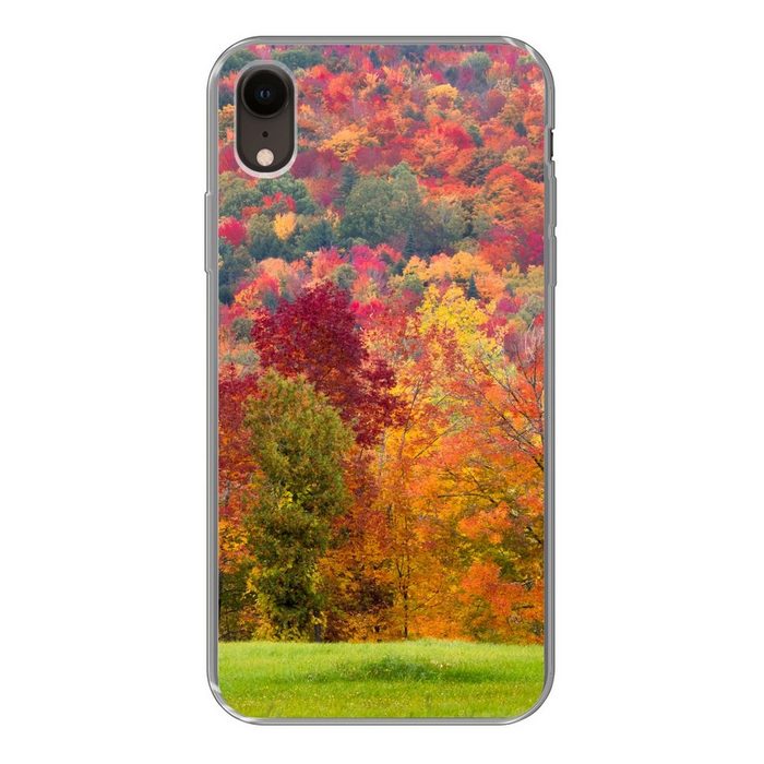MuchoWow Handyhülle Bäume - Orange - Rot Handyhülle Apple iPhone XR Smartphone-Bumper Print Handy