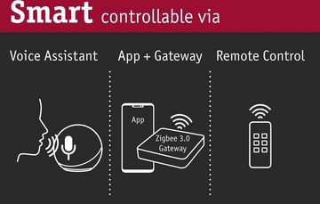 Paulmann LED-Leuchtmittel Smart Home Zigbee Standardform 9,3 W Matt E27 RGBW, E27, 1 St., Farbwechsler