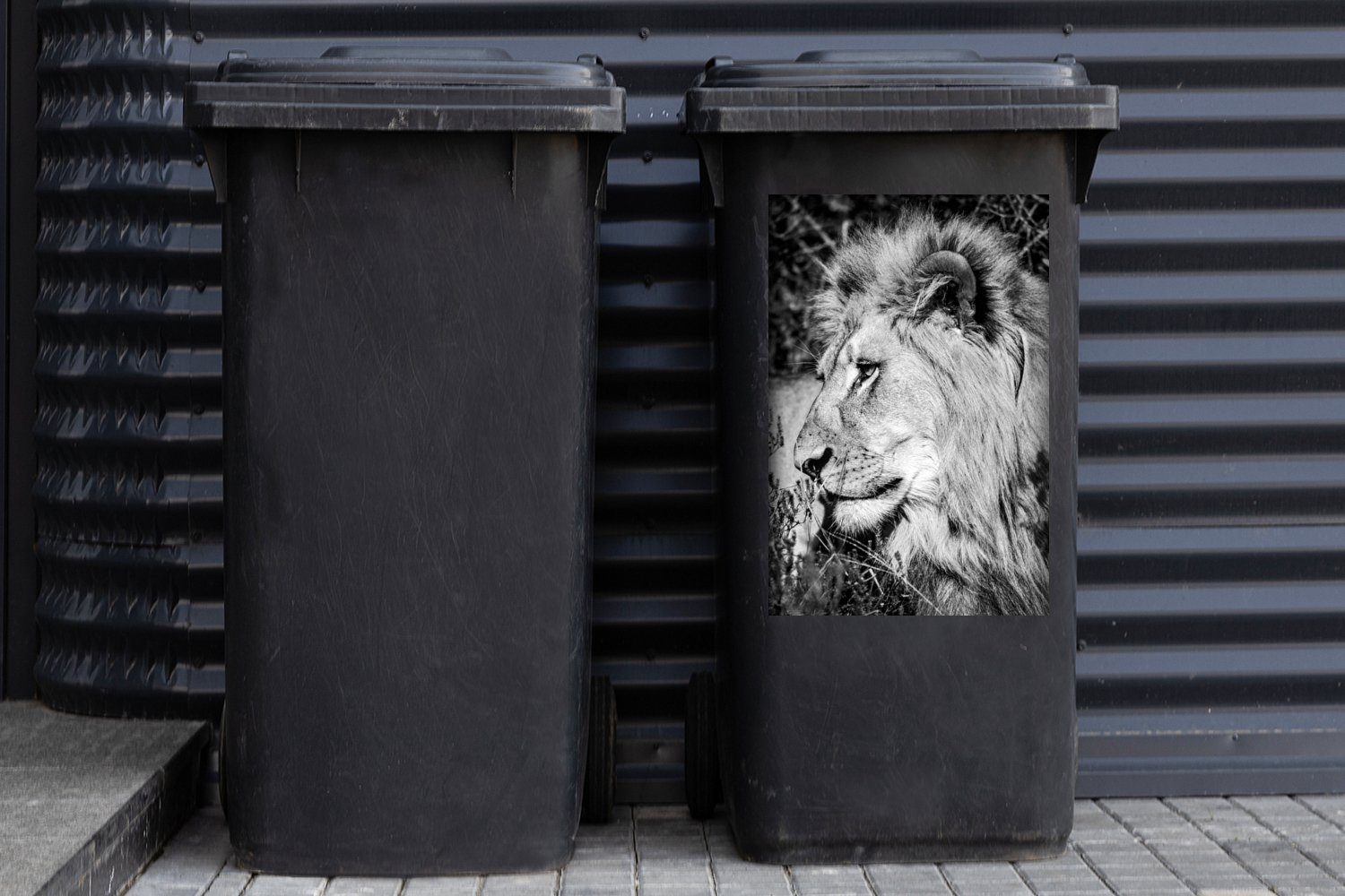 Tiere (1 Wandsticker - MuchoWow Löwe Abfalbehälter Mülleimer-aufkleber, St), Wild - Sticker, Mülltonne, Container,