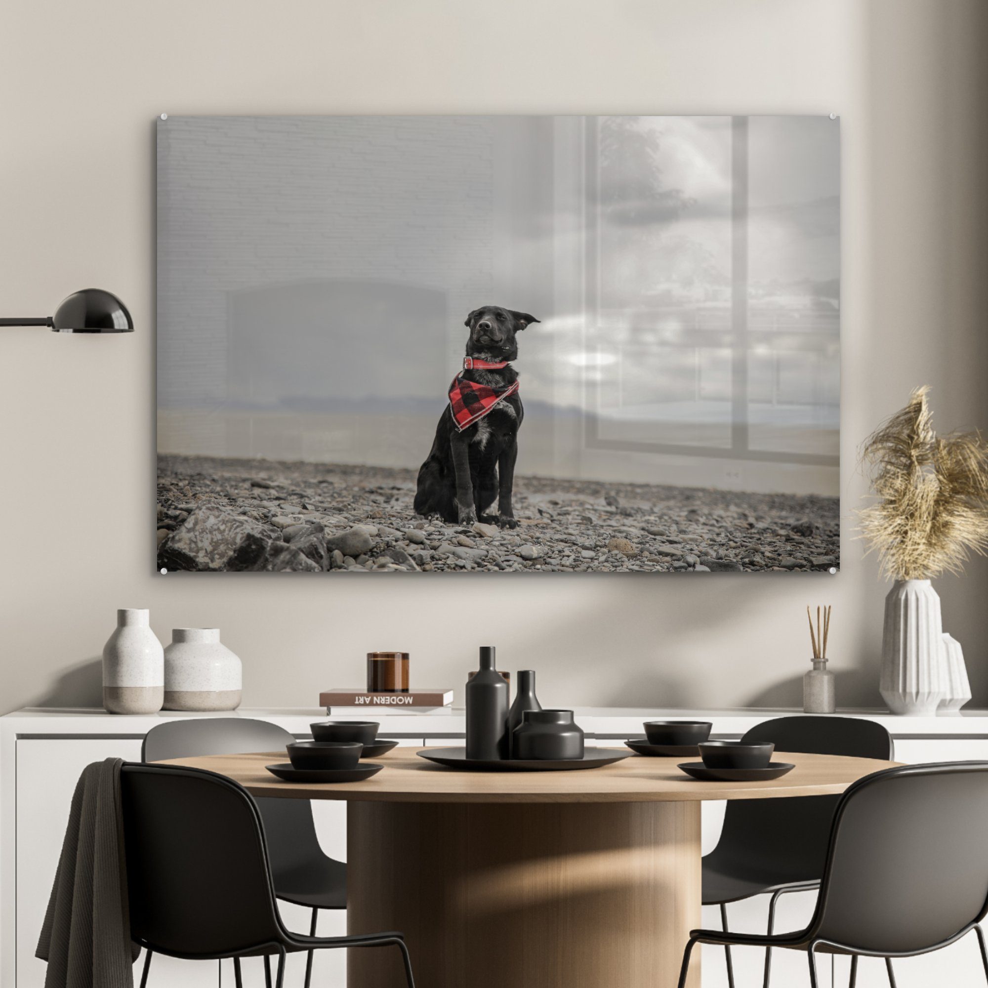 Acrylglasbilder (1 St), Acrylglasbild MuchoWow Strand Wolke, - Schlafzimmer - Hund & Wohnzimmer