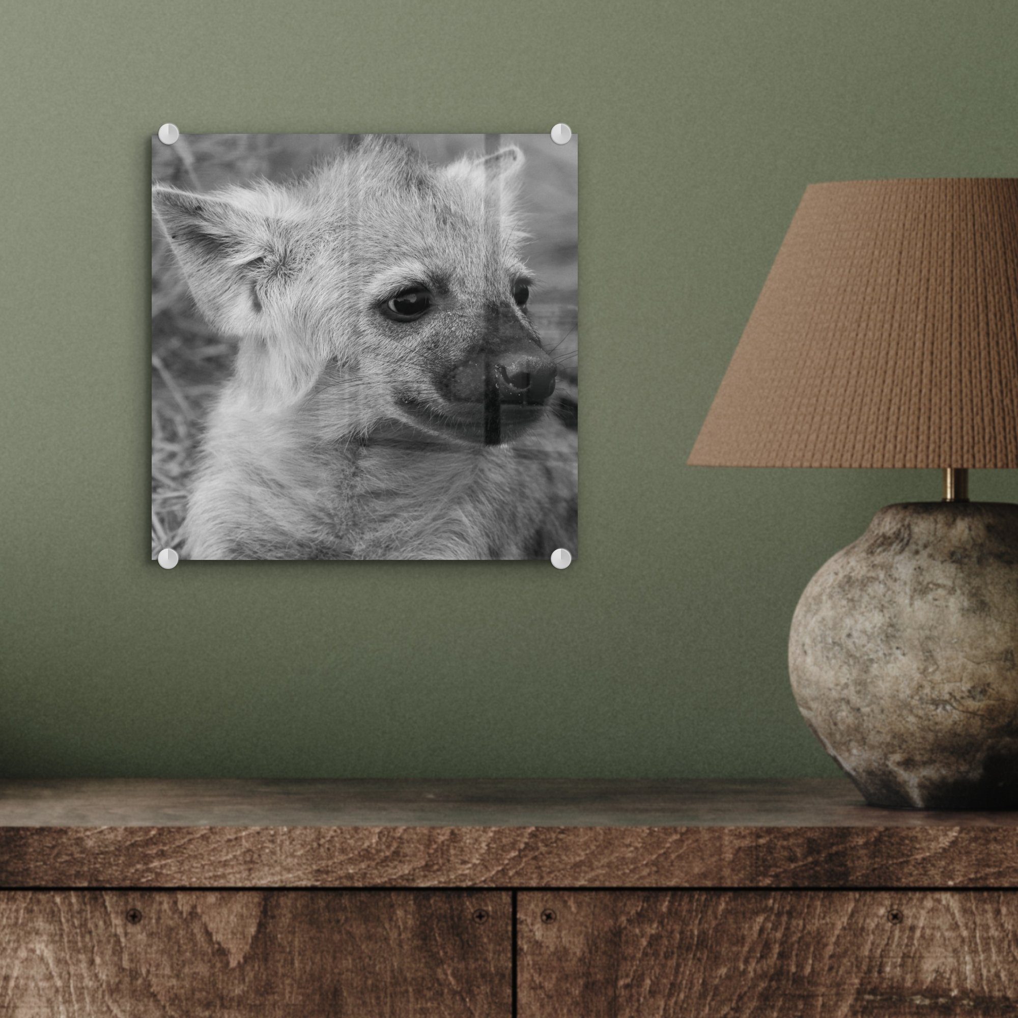 Schwarz Glas St), Glas Wandbild auf auf - Hyänenjunges Foto Acrylglasbild und MuchoWow Wanddekoration Glasbilder Bilder in - - Weiß, (1
