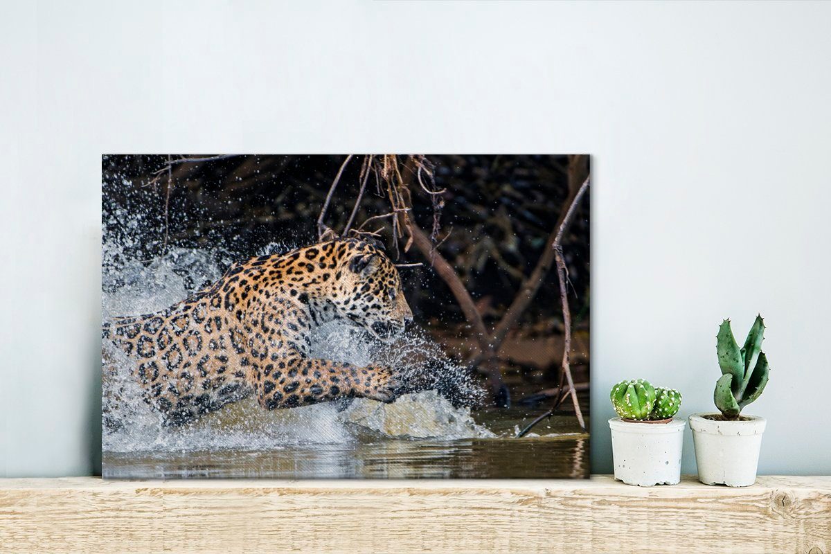 OneMillionCanvasses® Leinwandbild Jaguar Wandbild Aufhängefertig, Beute, (1 - cm - Leinwandbilder, Jagd St), 30x20 Wanddeko