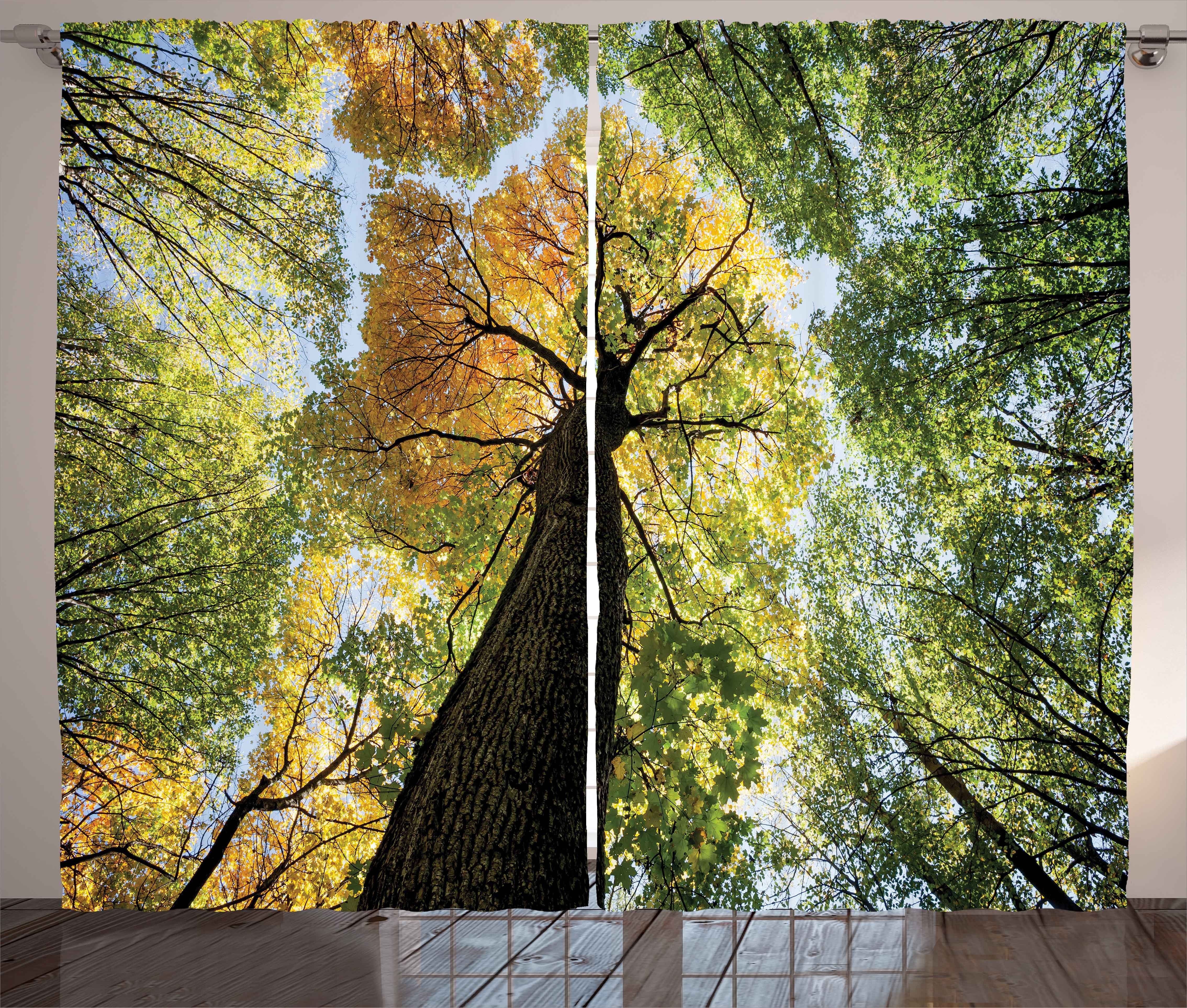 Gardine Haken, und Vorhang Wachstum Schlafzimmer Eco Abakuhaus, Kräuselband mit Baum Herbst Schlaufen Wald