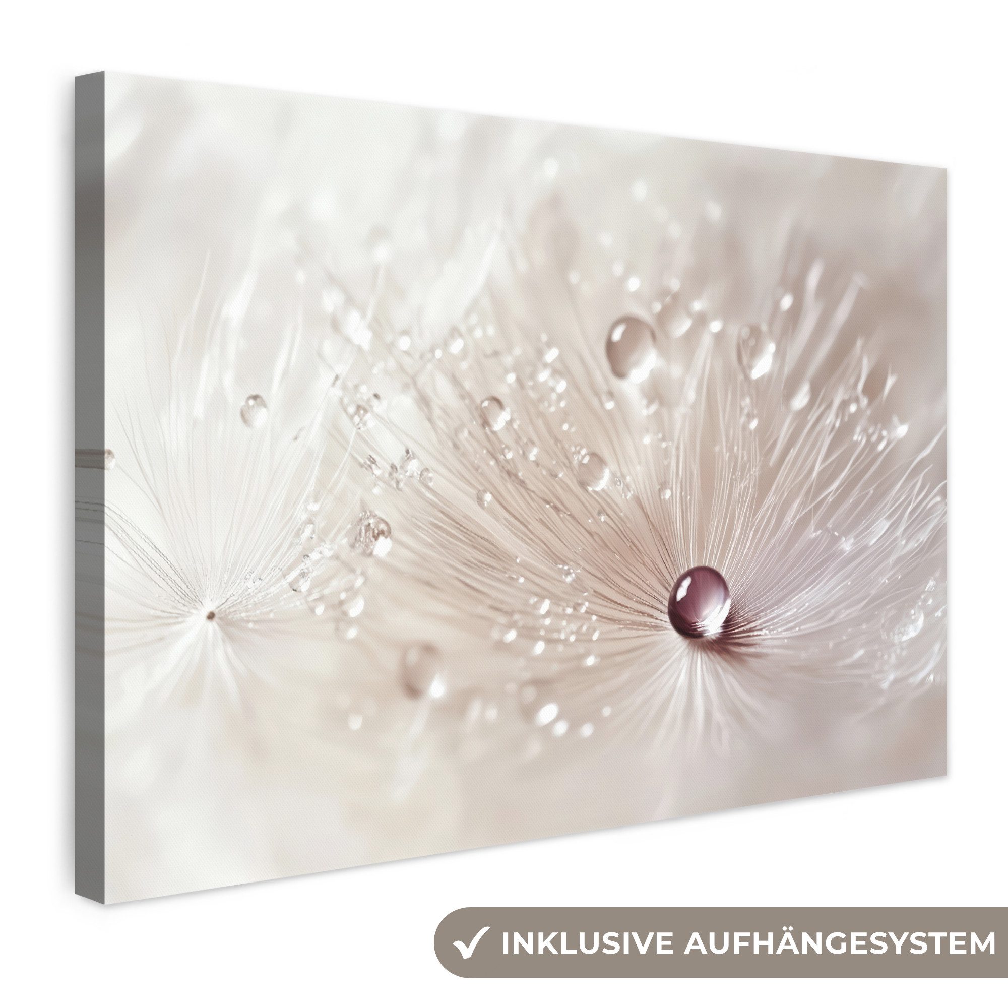OneMillionCanvasses® Leinwandbild Blume - Abstrakt - Weiß - Wasser - Natur, Fotodruck (1 St), Leinwand Bilder Klein, Wand Dekoration Aesthetic 30x20 cm