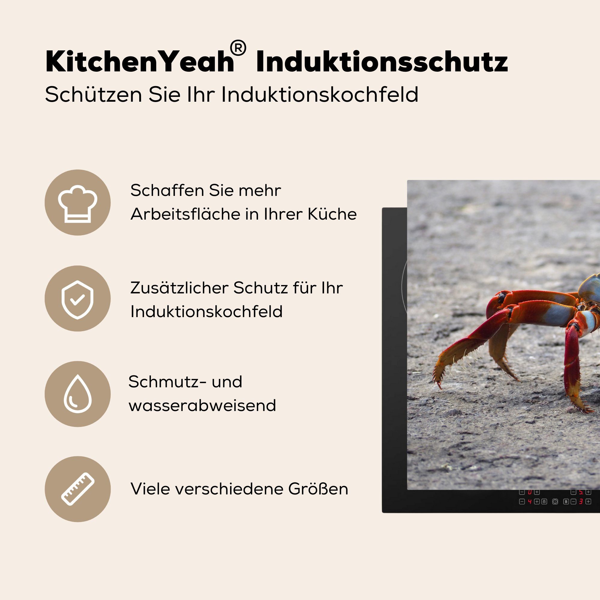 Vinyl, Krabbe, die tlg), (1 Tiere - Schutz MuchoWow 81x52 - Strand Induktionskochfeld Ceranfeldabdeckung küche, Herdblende-/Abdeckplatte cm, für