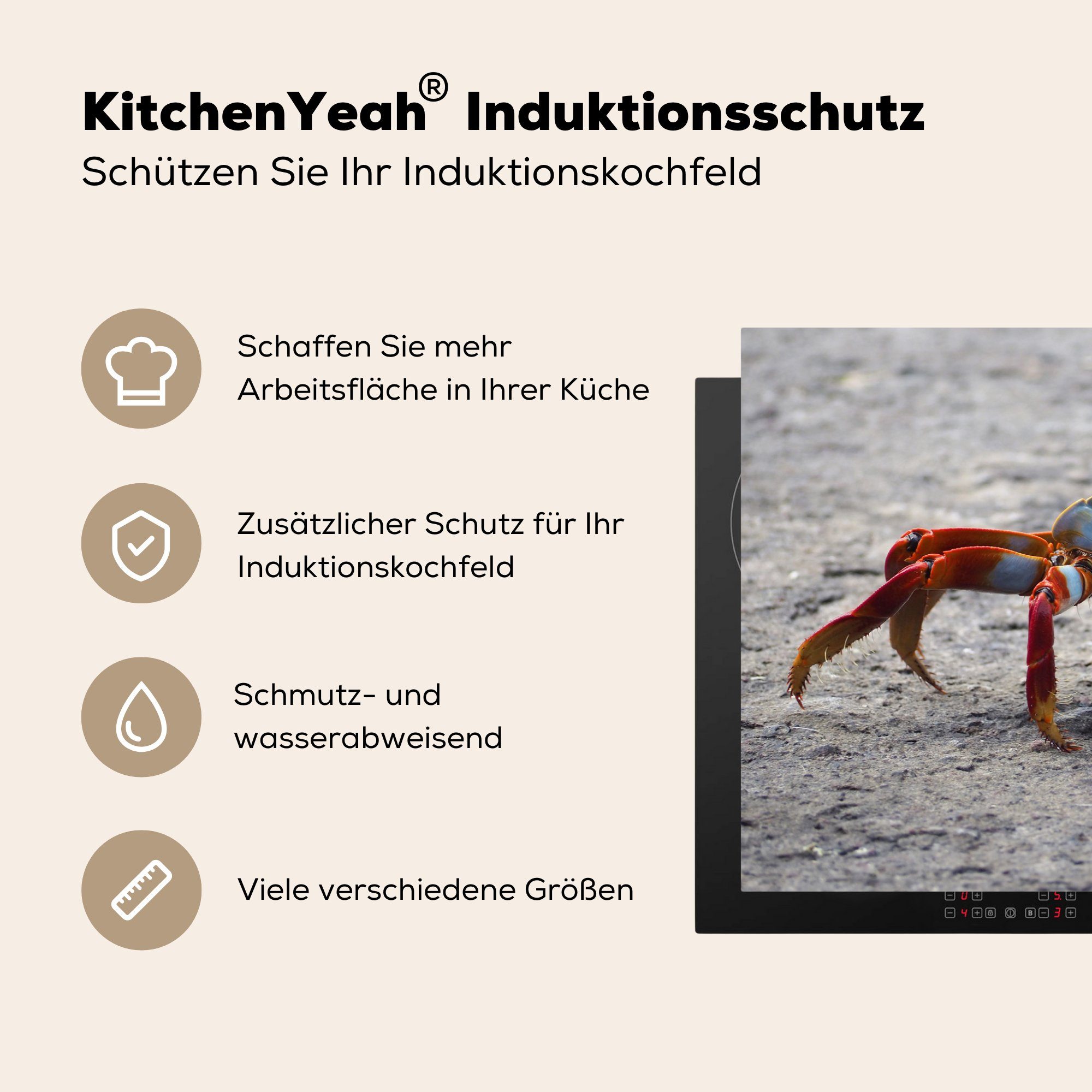 Tiere Schutz Herdblende-/Abdeckplatte - cm, 81x52 MuchoWow Vinyl, küche, (1 Induktionskochfeld die für Ceranfeldabdeckung - Strand Krabbe, tlg),