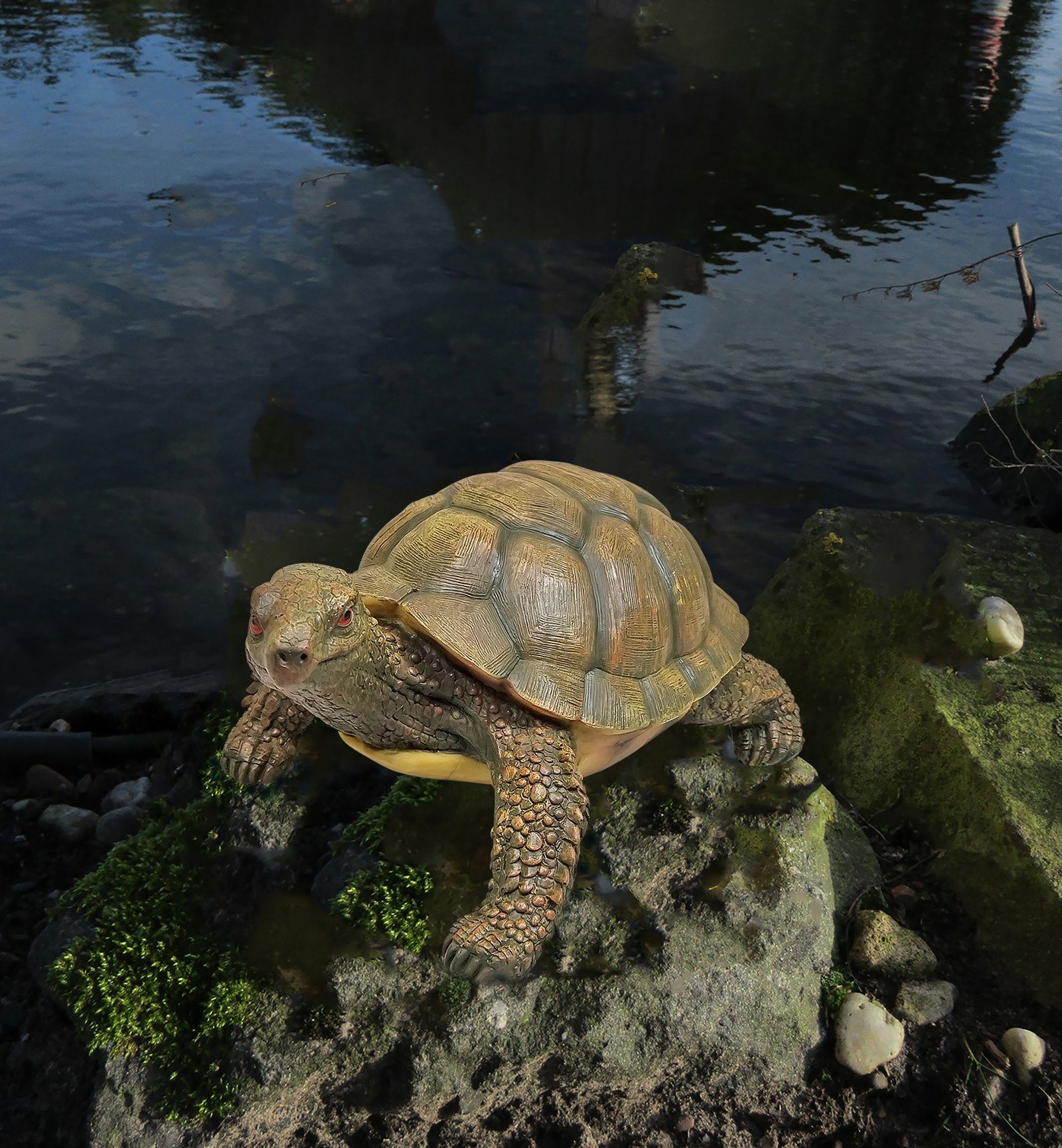 Fachhandel Gartendeko lebensechte Schildkröte Plus St), (1 Agathe, Gartenfigur