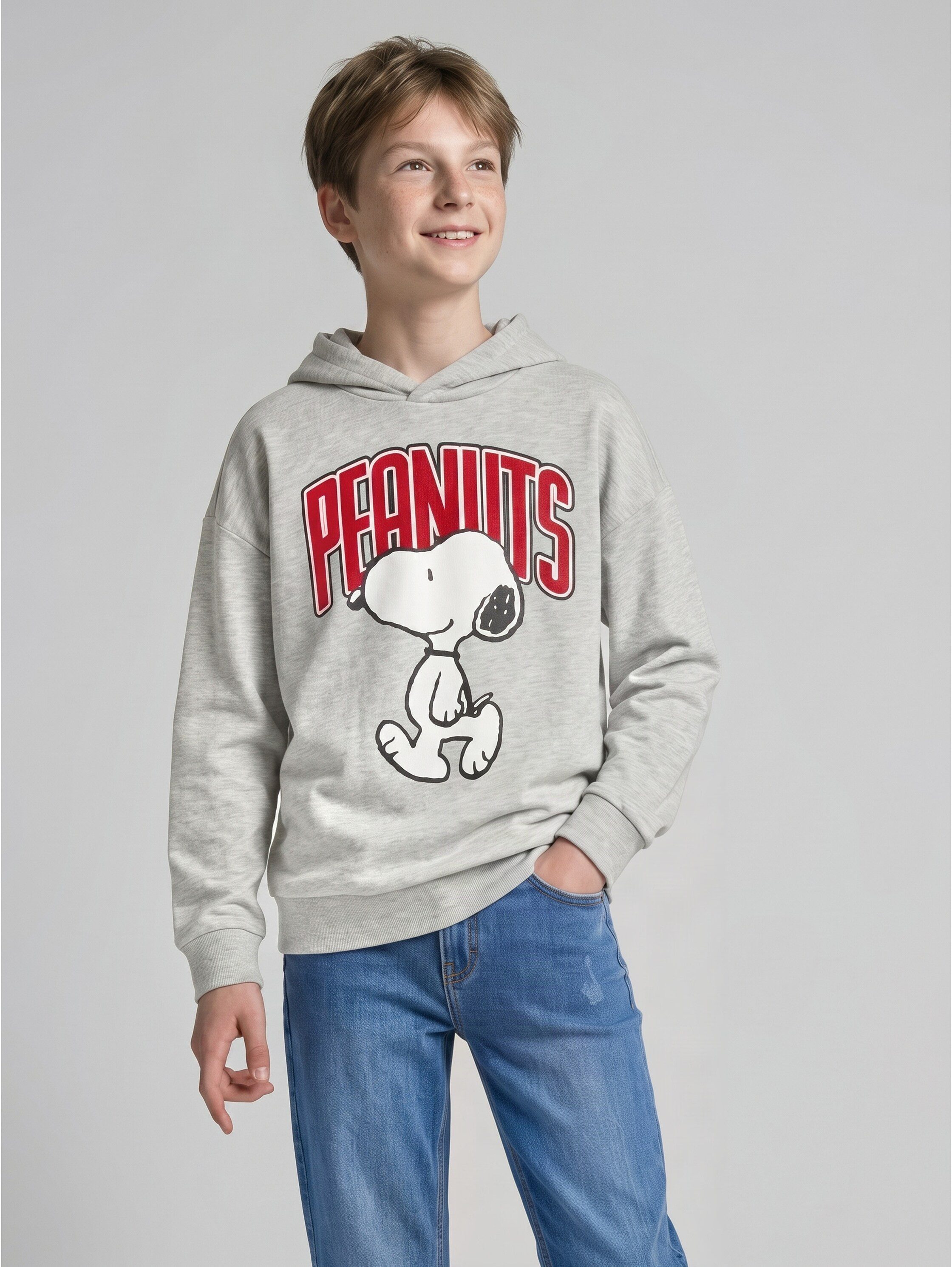 TOM TAILOR Kapuzensweatshirt mit Peanut-Print / für boys
