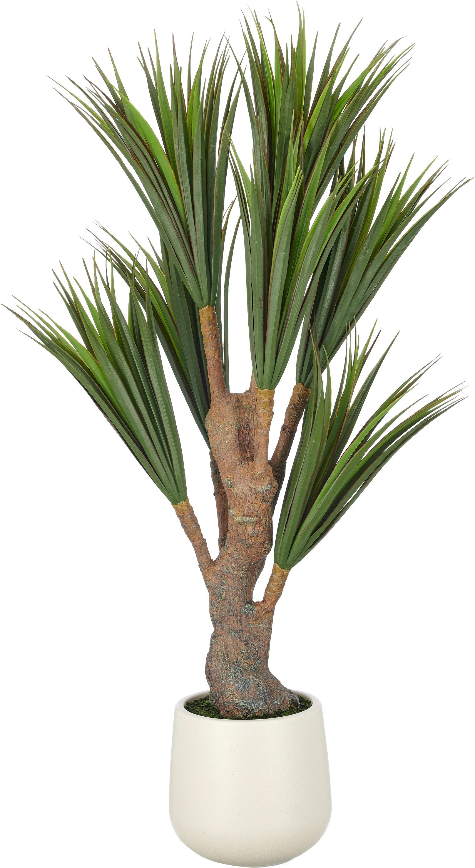 Kunstpflanze Dracaena, Creativ green, Höhe 150 cm, mit naturgetreuem Blattwerk