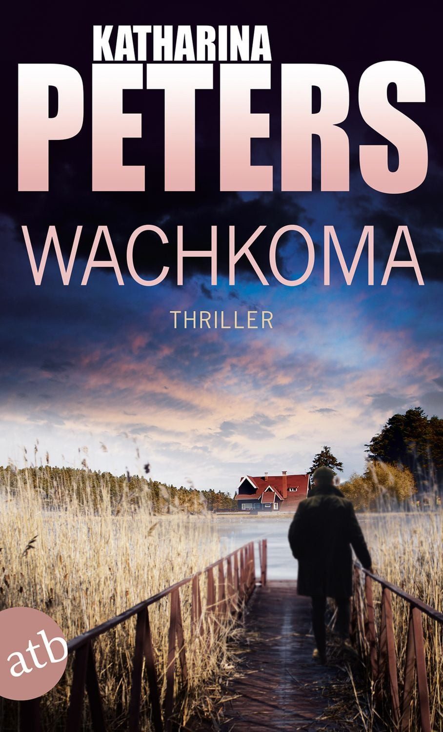 Wachkoma / Hannah Jakob Band 2 / Katharina Peters