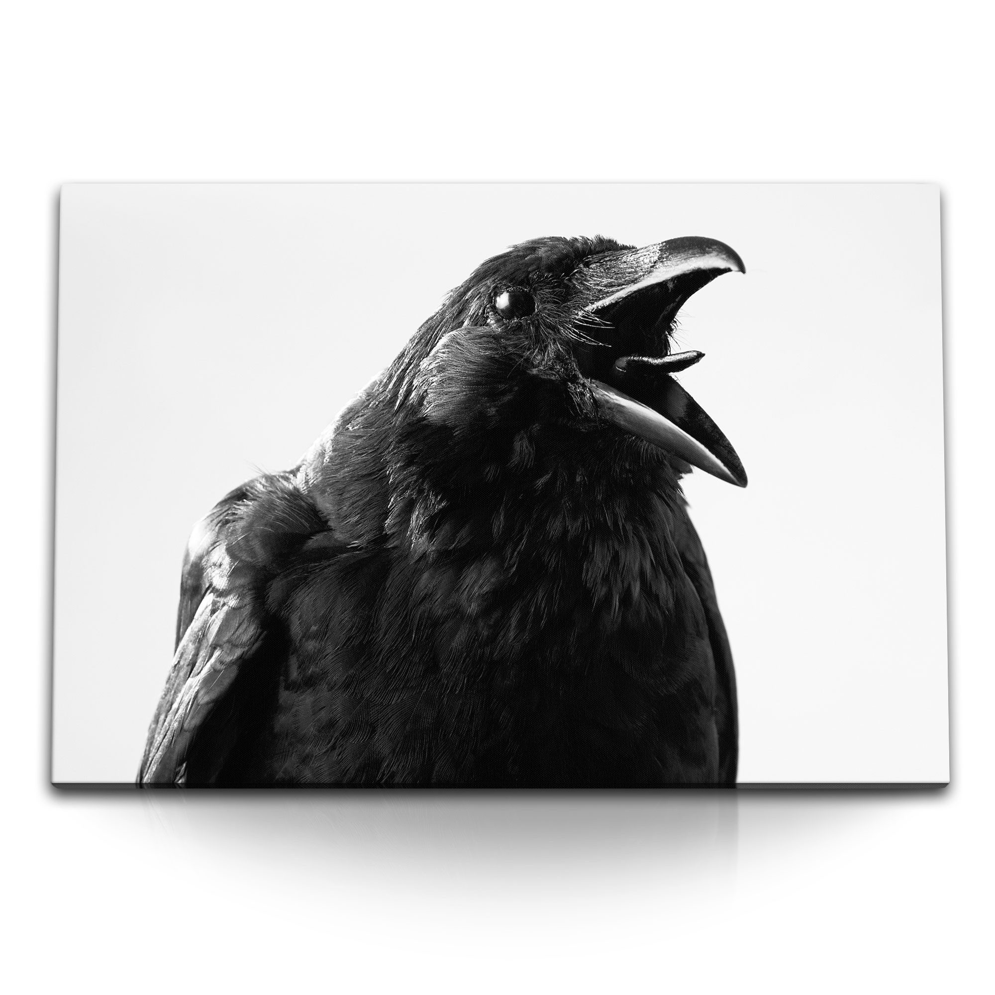 Leinwandbild 120x80cm Wandbild auf Leinwand Krähe schwarzer Vogel Tierfotografie Ra