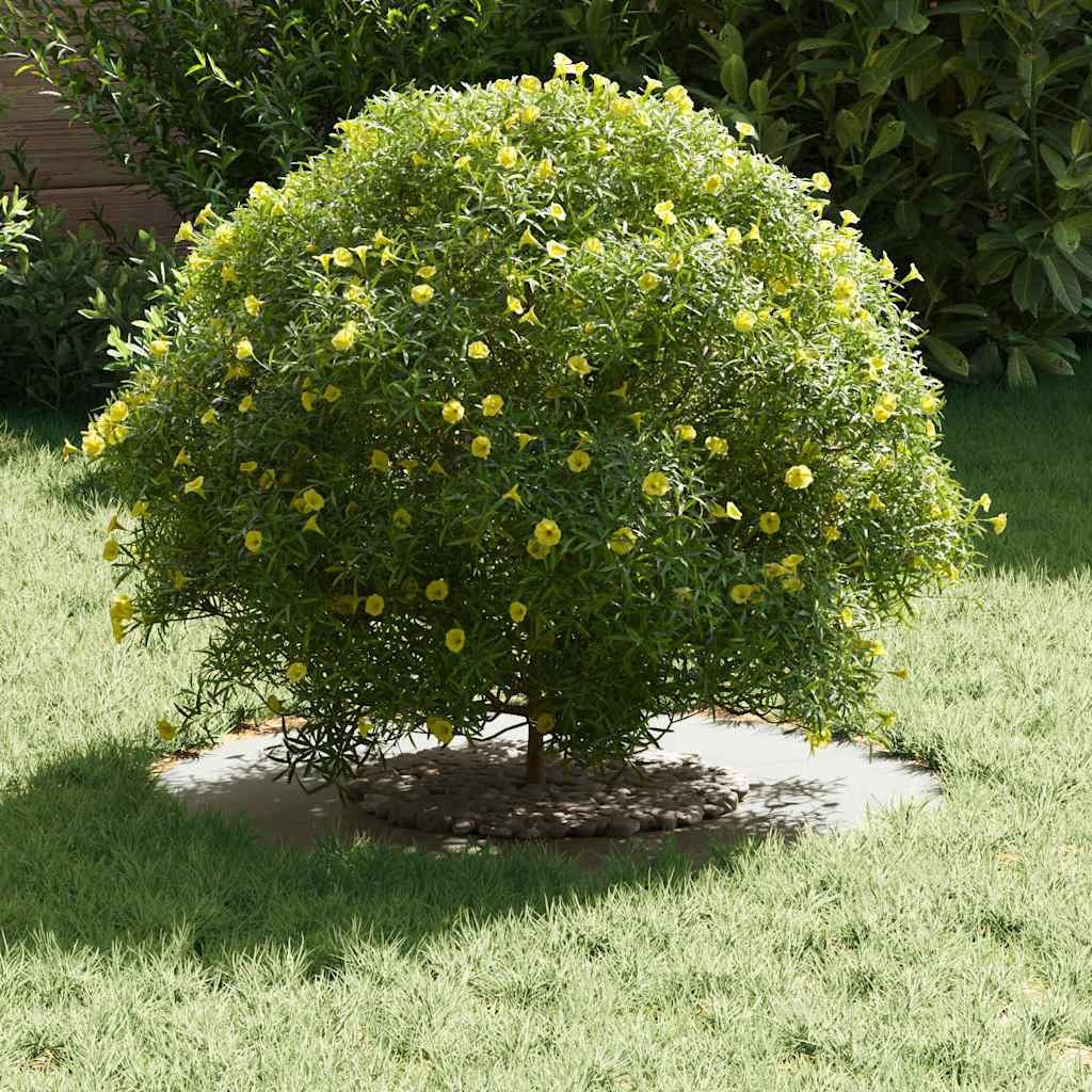 vidaXL Blumentopf Flacher Baumring Weiß Ø30 günstig online kaufen