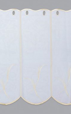 Scheibengardine Federn, Plauener Spitze®, (1 St), transparent, HxB 32x48.6cm