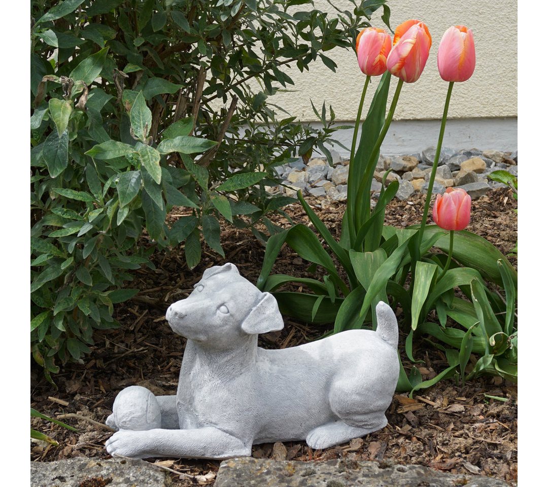 gartendekoparadies.de Gartenfigur Jack Russell Terrier Hund, Steinfigur, H. 24 cm, 11 kg, Frostsicher