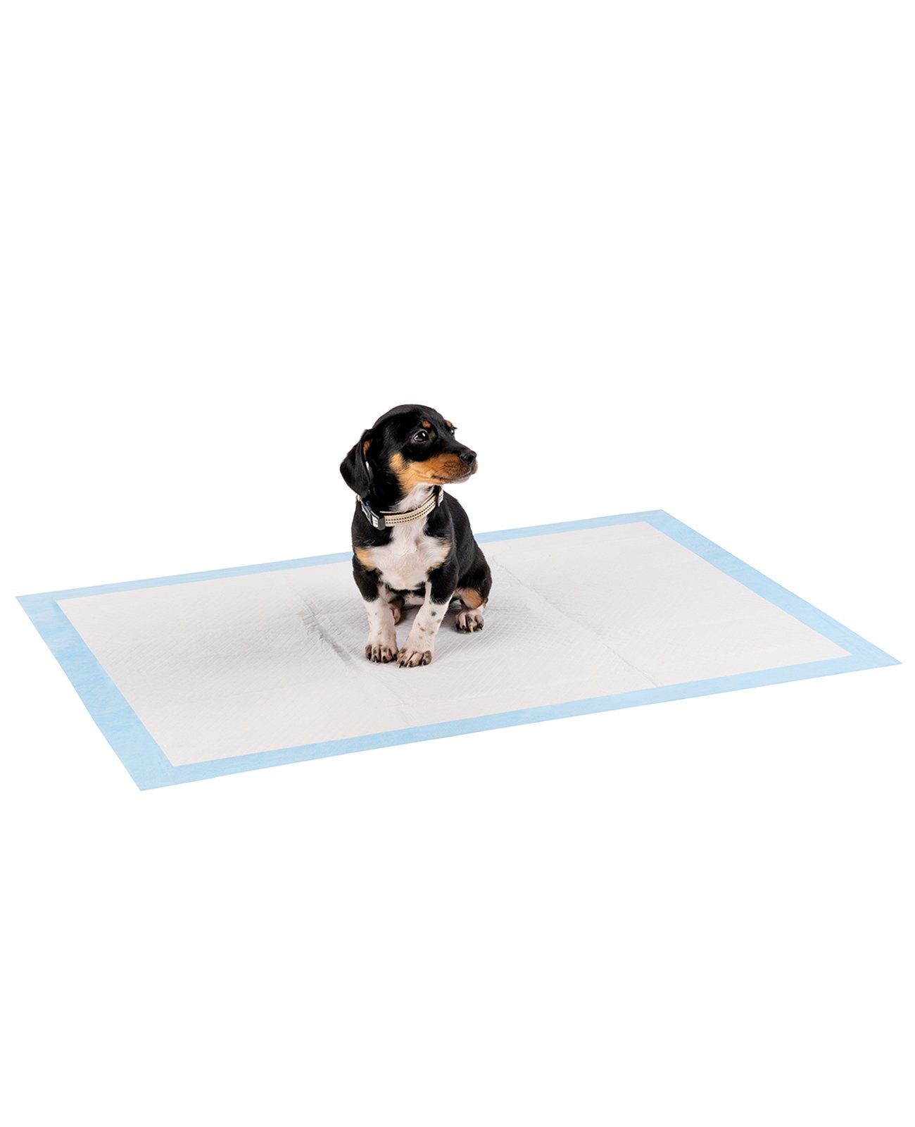 lionto Hundematte lionto Welpenunterlage Hygieneunterlage für günstig online kaufen