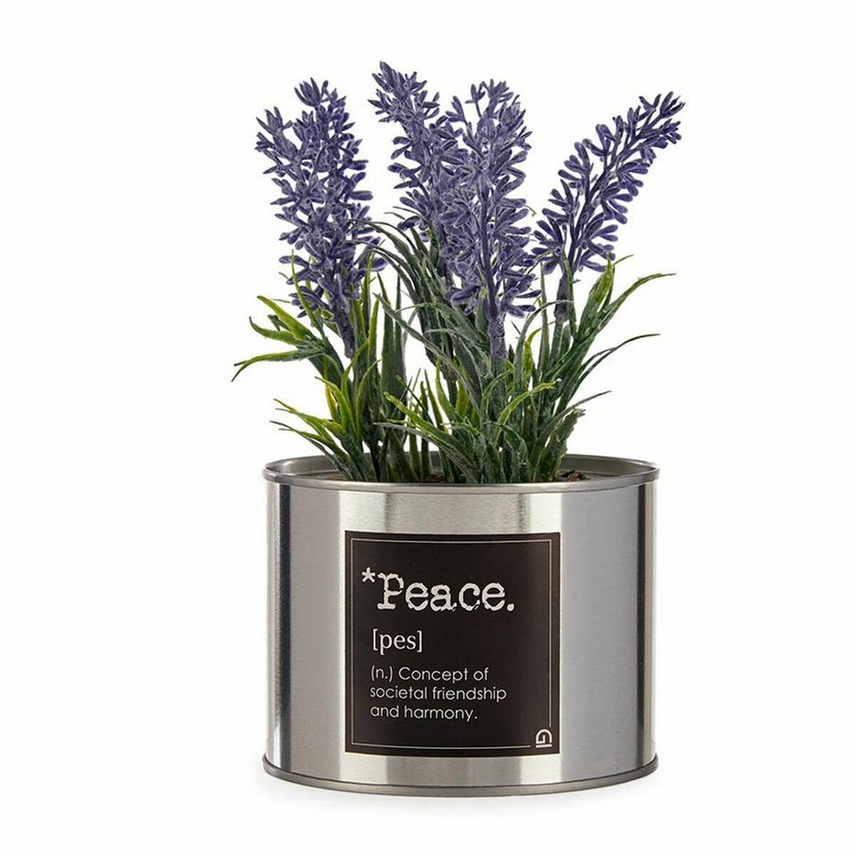 Künstliche Zimmerpflanze Dekorationspflanze Kunststoff Lavendel Dose 6  Stück, Ibergarden, Höhe 17 cm