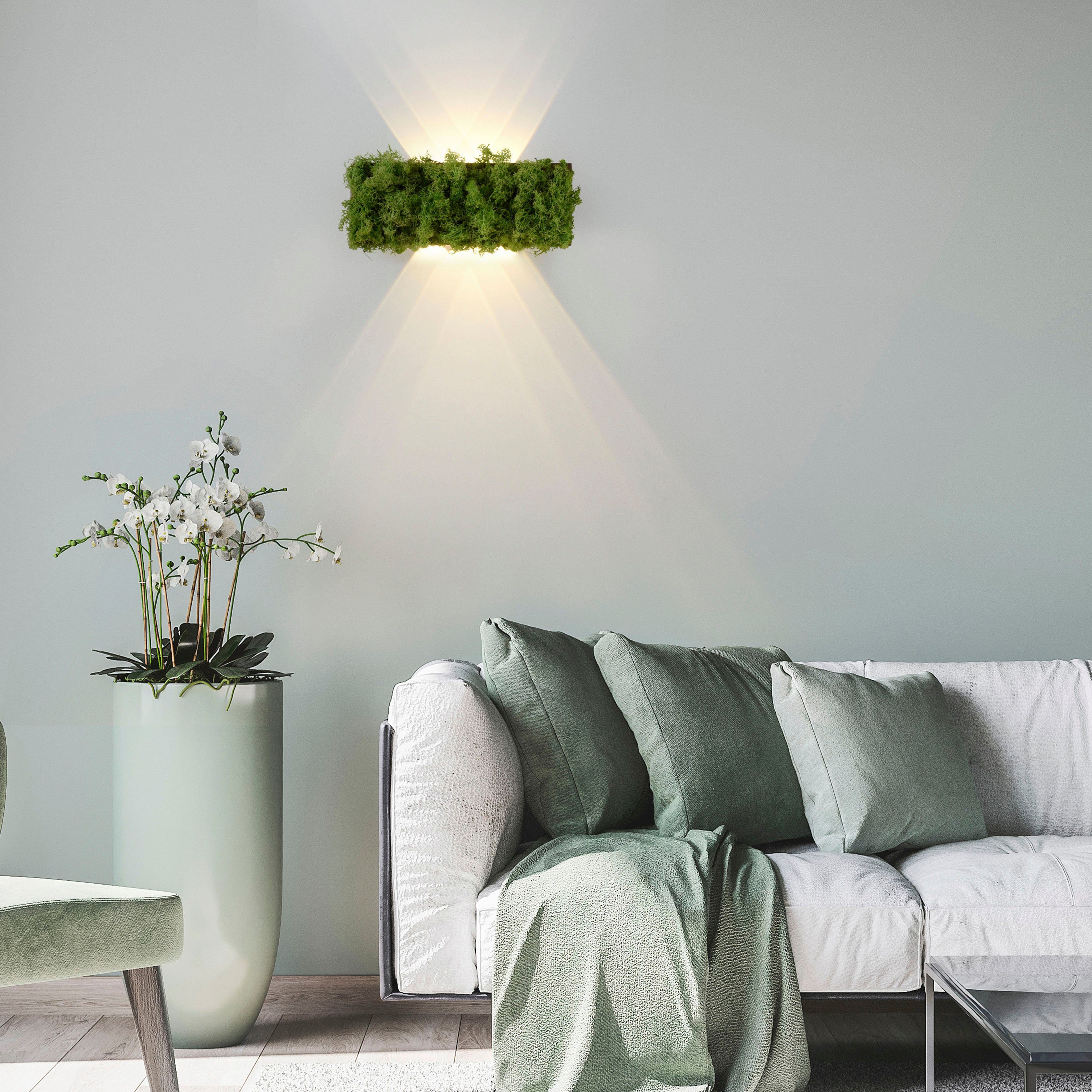JUST LIGHT Wandleuchte GREEN CARL, LED günstig online kaufen