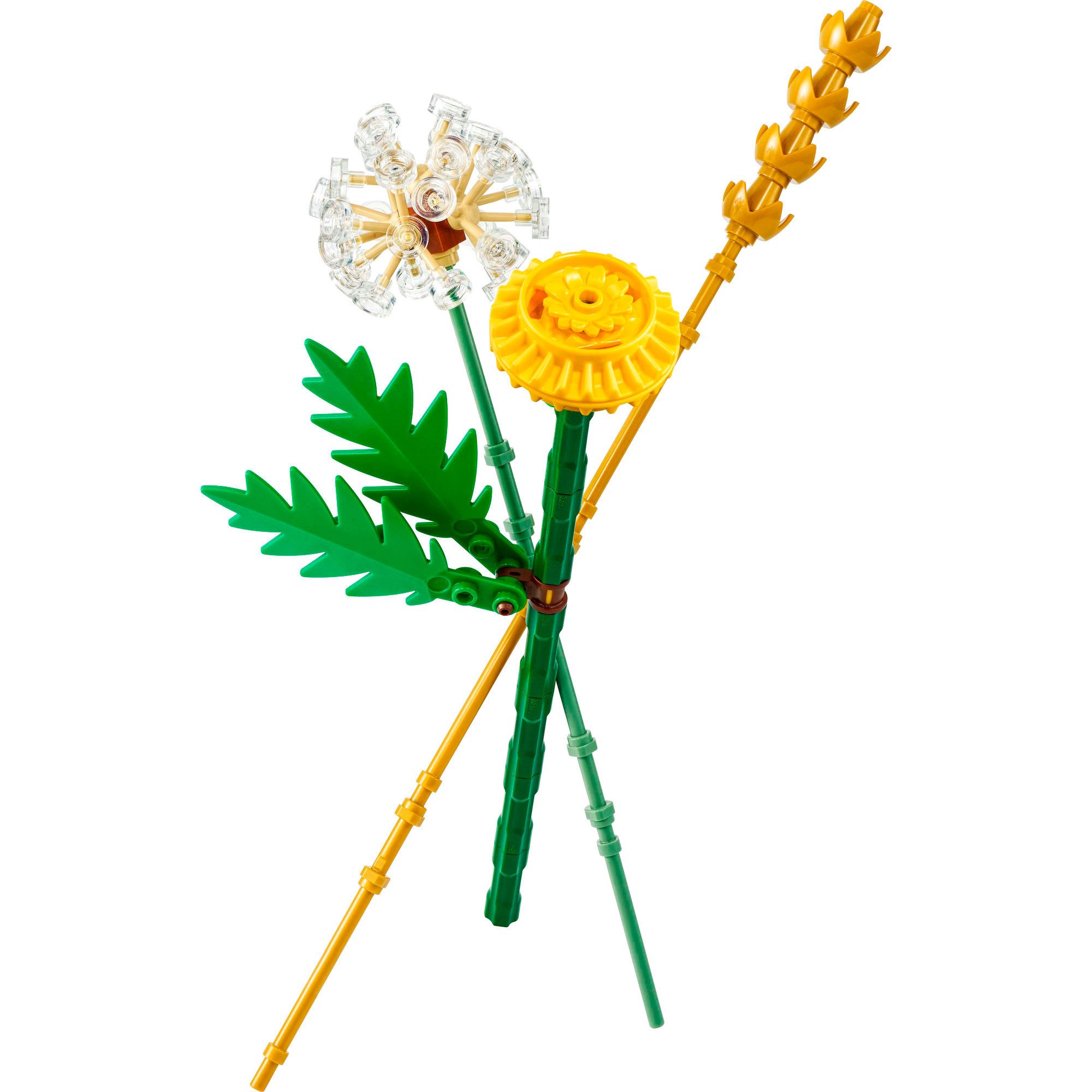 LEGO® LEGO Botanicals Feldblumen, Konstruktionsspielzeug Spielbausteine günstig online kaufen