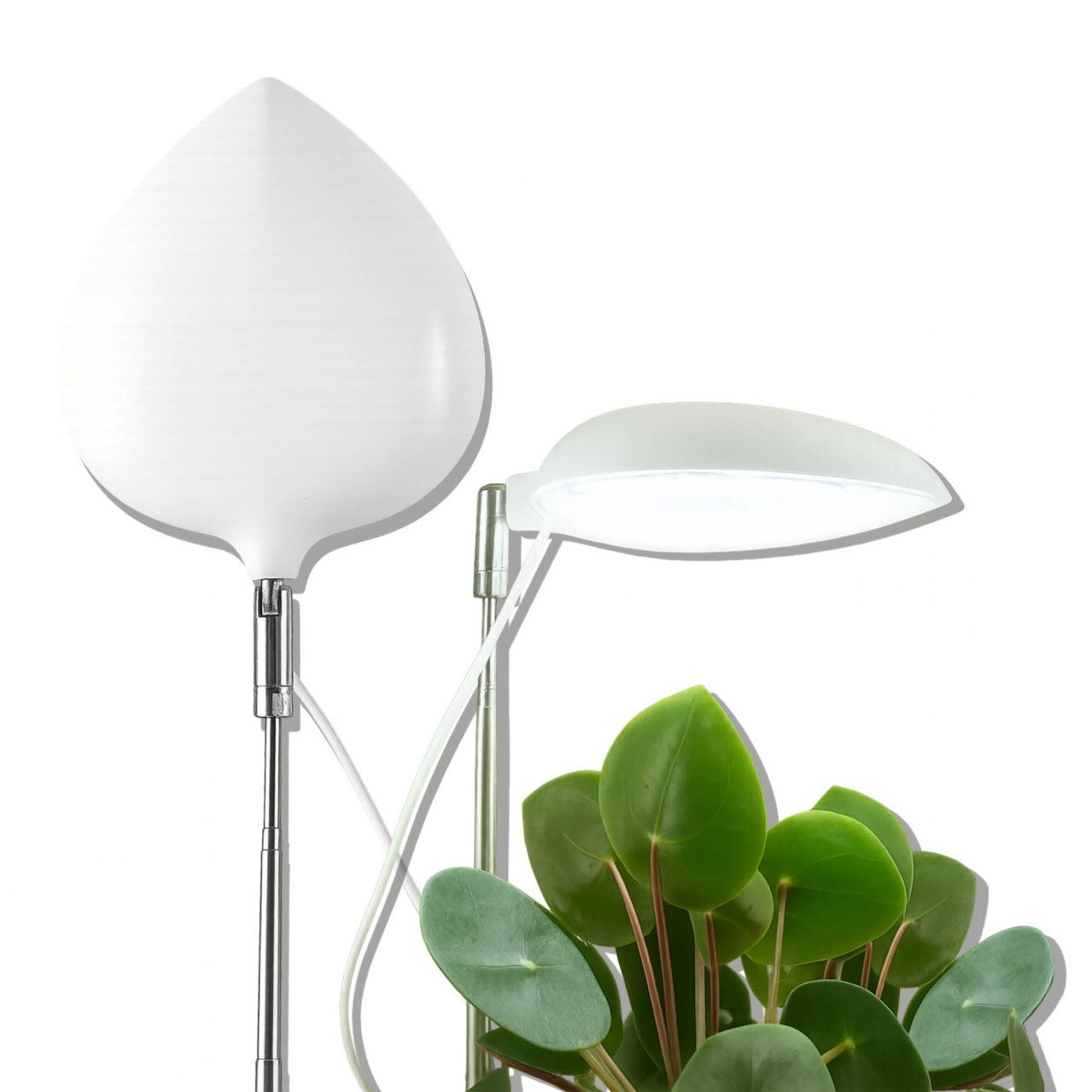 Bio Green Wintervlies Biogreen LED Vollspektrum Pflanzenleuchte LEAF