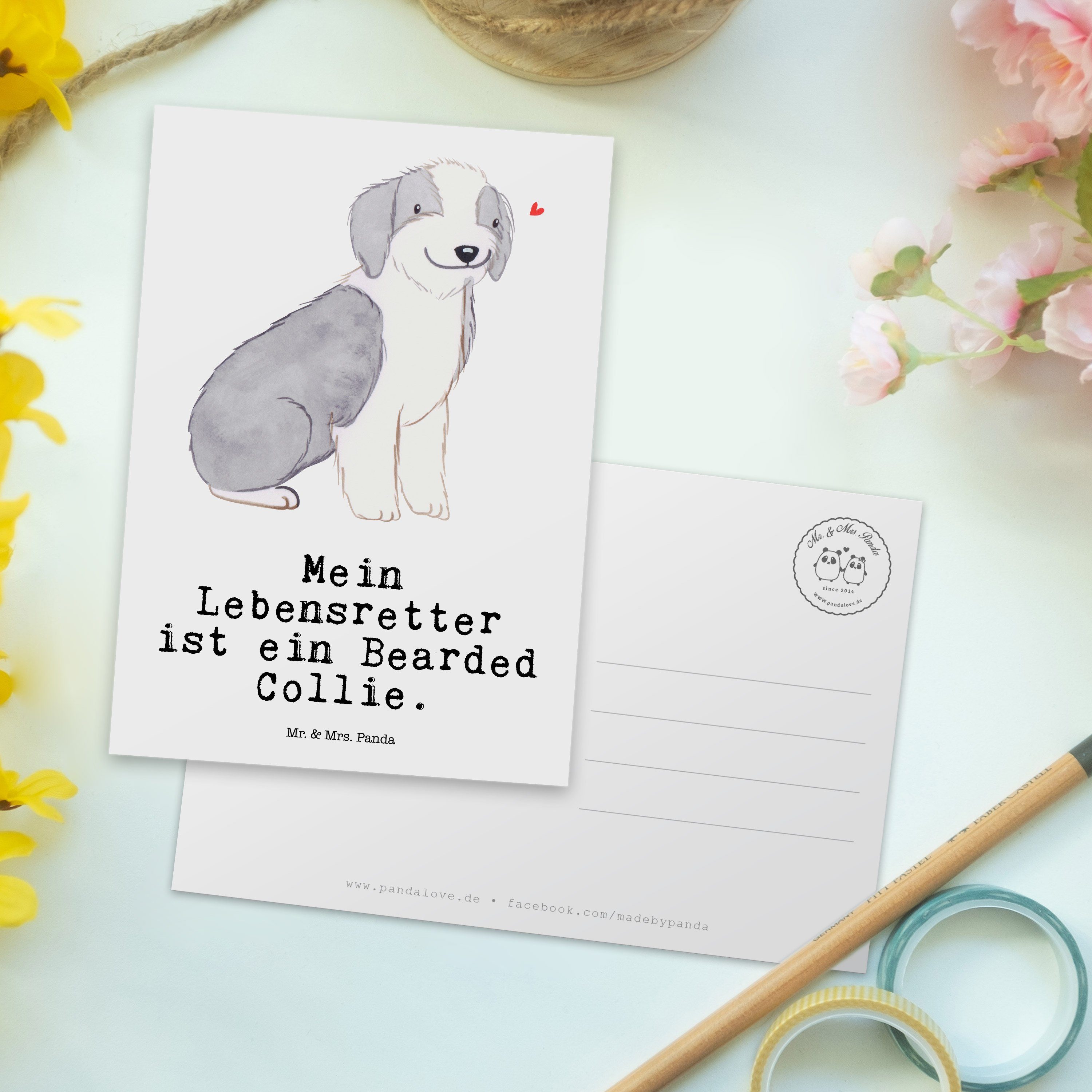 Postkarte Geburtstags Bearded - & Weiß Geschenk, Panda Mr. Collie Grußkarte, Lebensretter Mrs. -