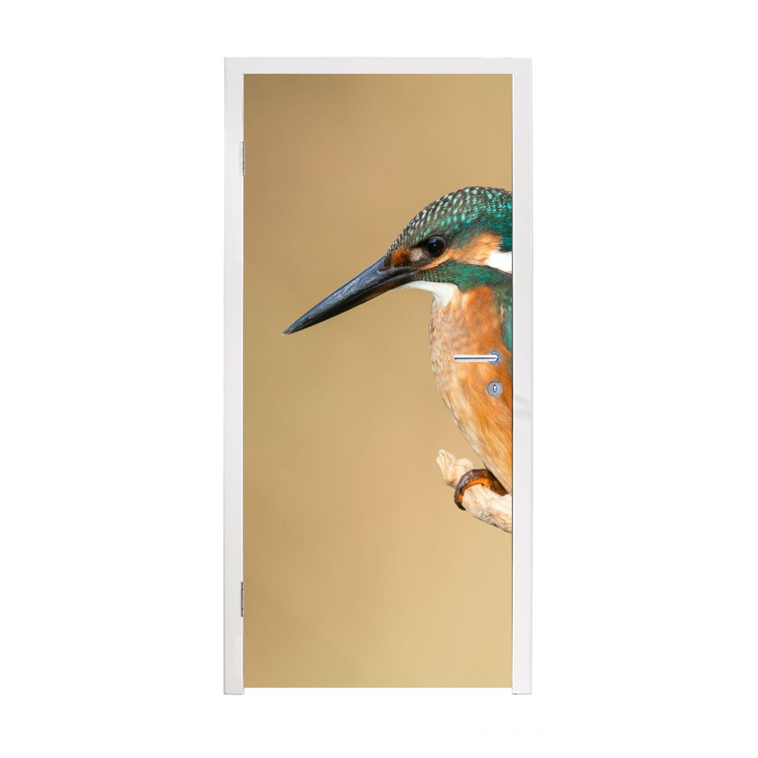 MuchoWow Türtapete Eisvogel - Tiere - Vogel, Matt, bedruckt, (1 St), Fototapete für Tür, Türaufkleber, 75x205 cm