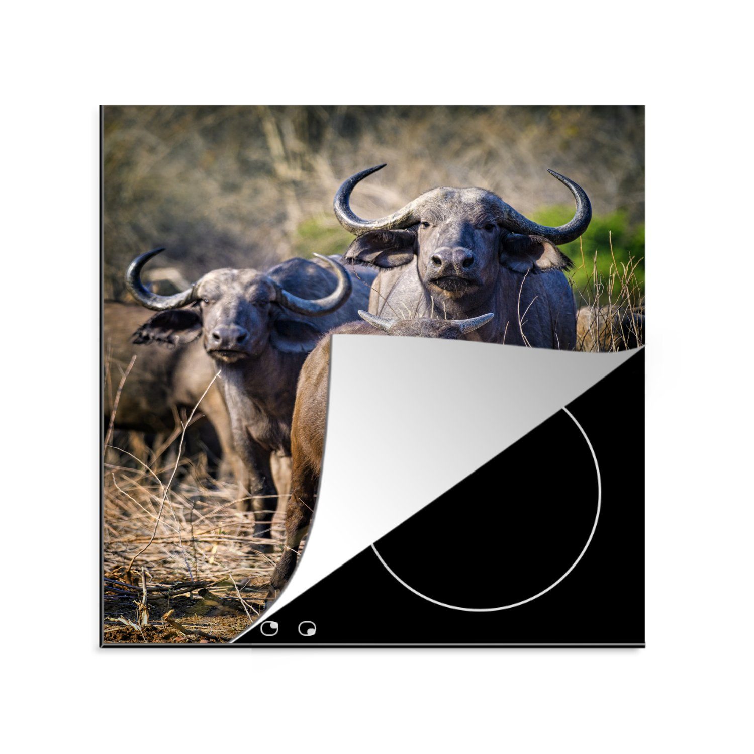 MuchoWow Herdblende-/Abdeckplatte Gruppe von neugierigen Büffeln, Vinyl, (1 tlg), 78x78 cm, Ceranfeldabdeckung, Arbeitsplatte für küche | Herdabdeckplatten