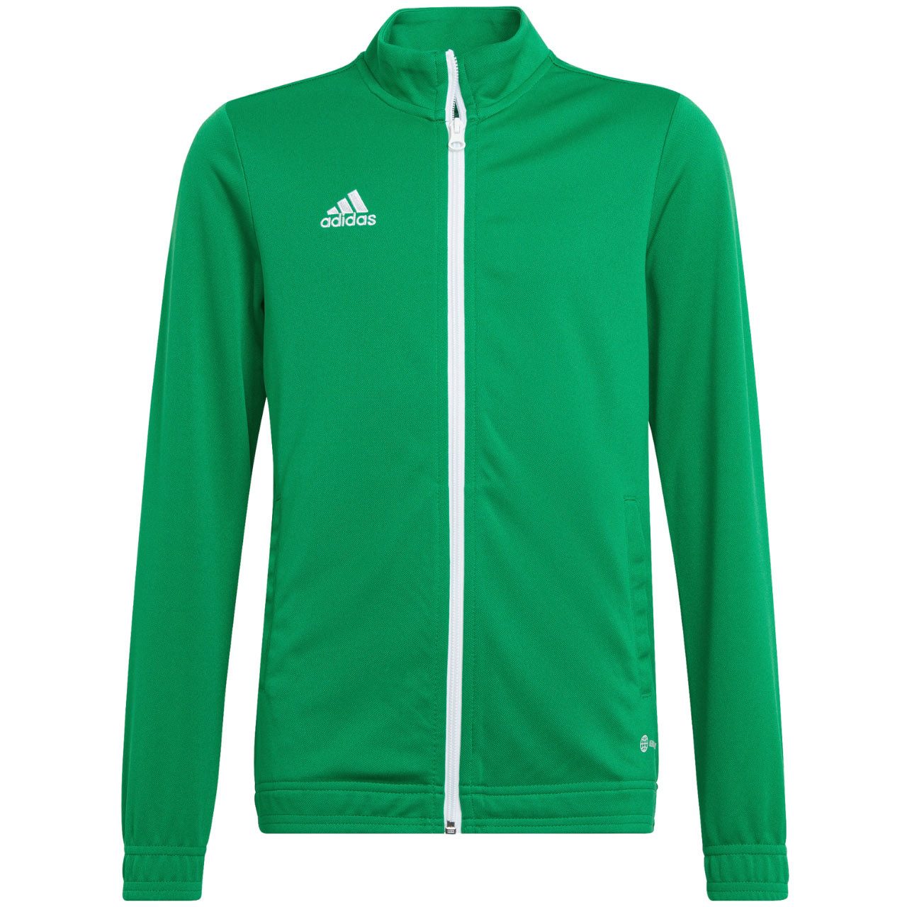 adidas Performance Sweatshirt Entrada 22