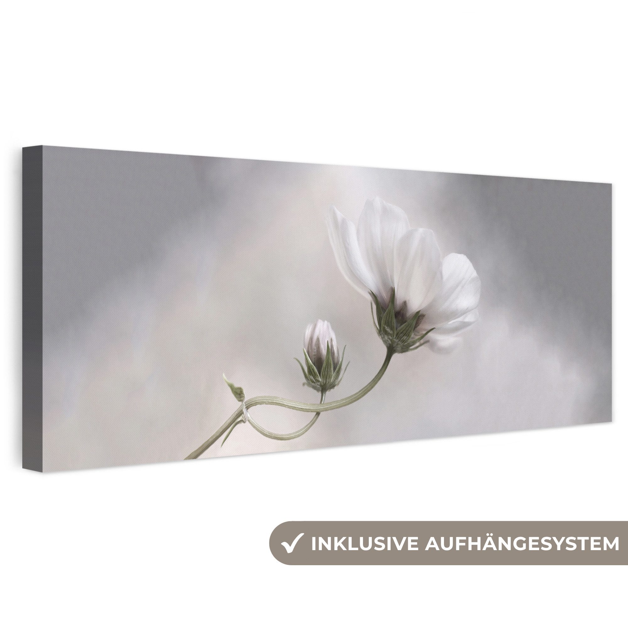 OneMillionCanvasses® Leinwandbild Panorama Blumen - Stillleben - Natur - Grau, Fotodruck (1 St), Wandbild, Deko Schlafzimmer Wohnzimmer Flur 60x20 cm