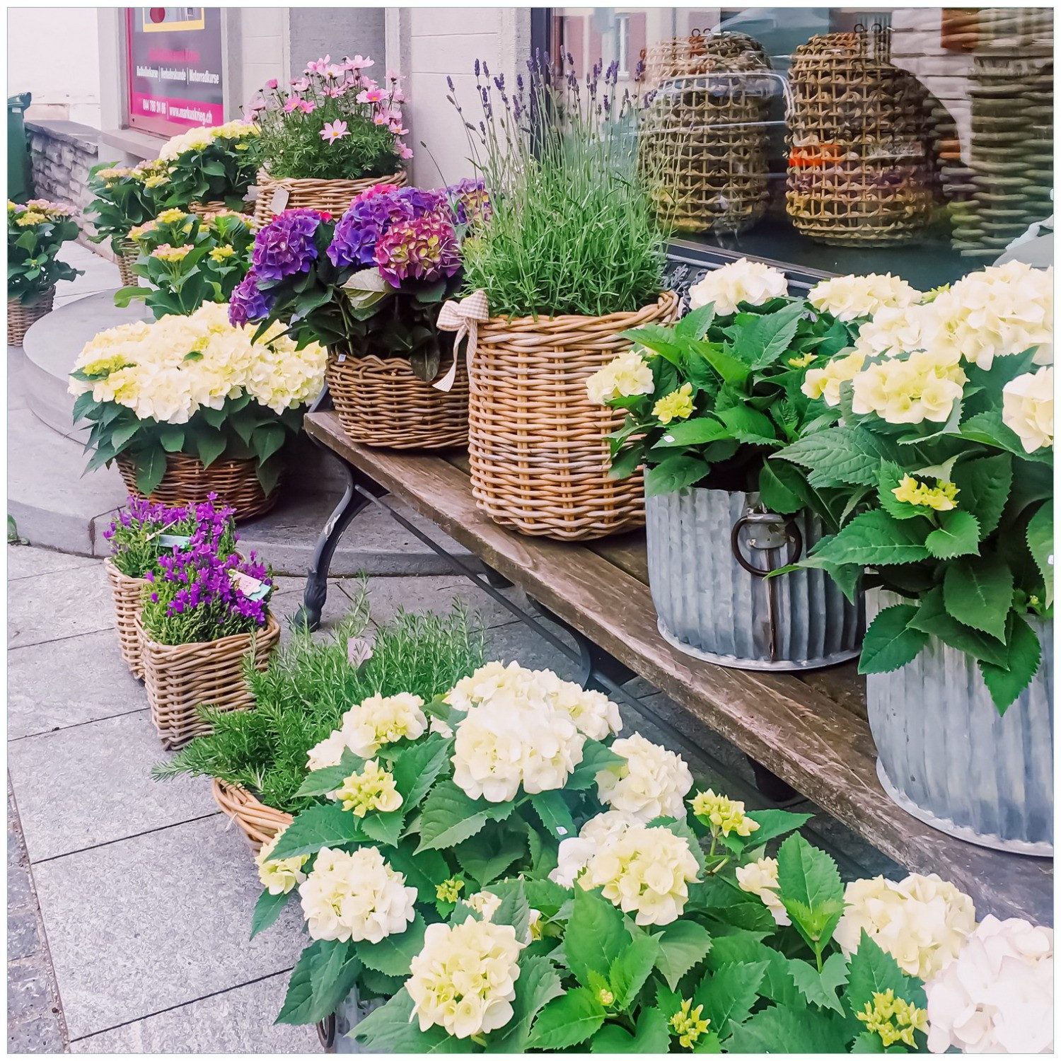 Wallario Möbelfolie Blumenladen mit Hortensien