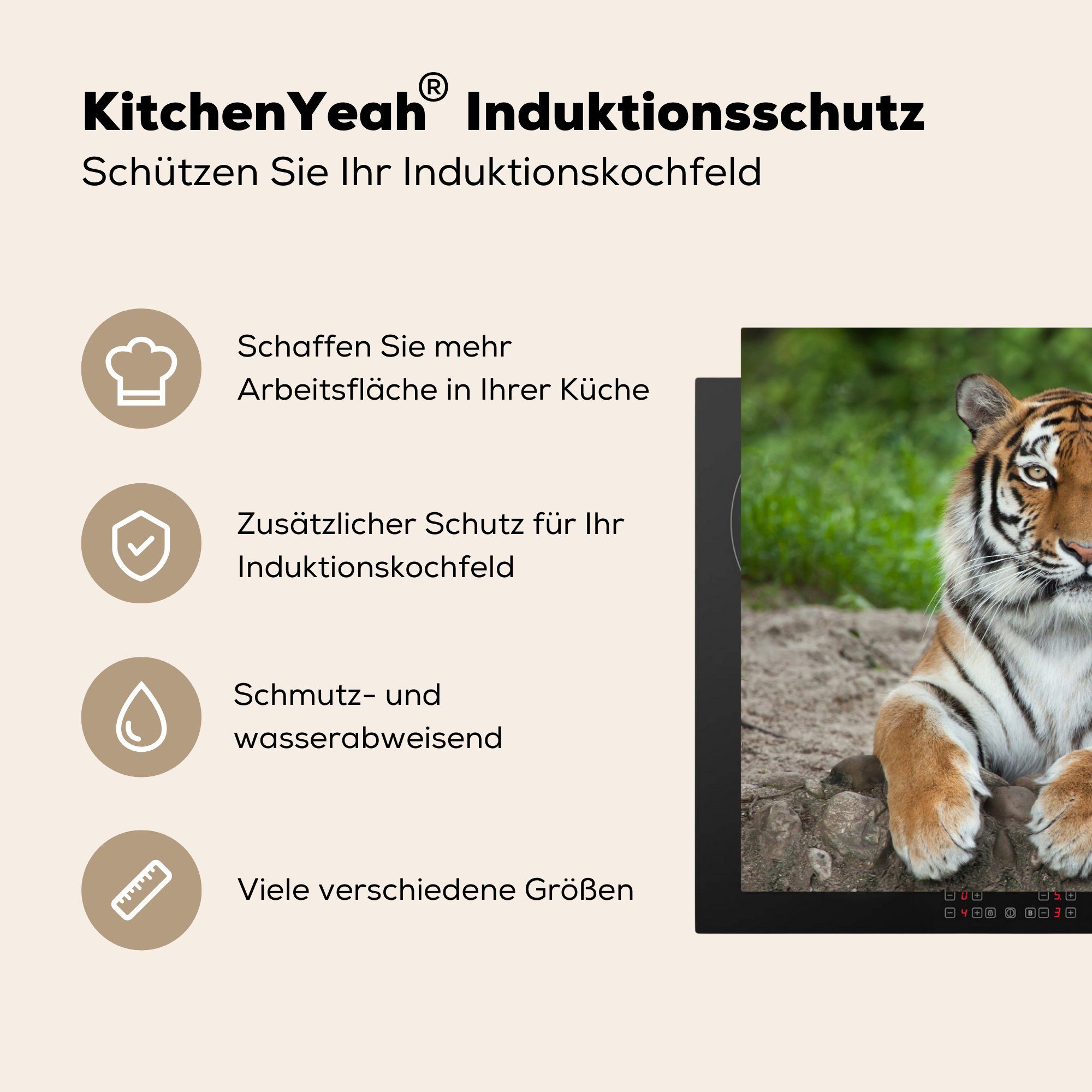 Tiger 81x52 küche, die Herdblende-/Abdeckplatte - Natur cm, MuchoWow Steine, für (1 Schutz Induktionskochfeld - Vinyl, tlg), Ceranfeldabdeckung