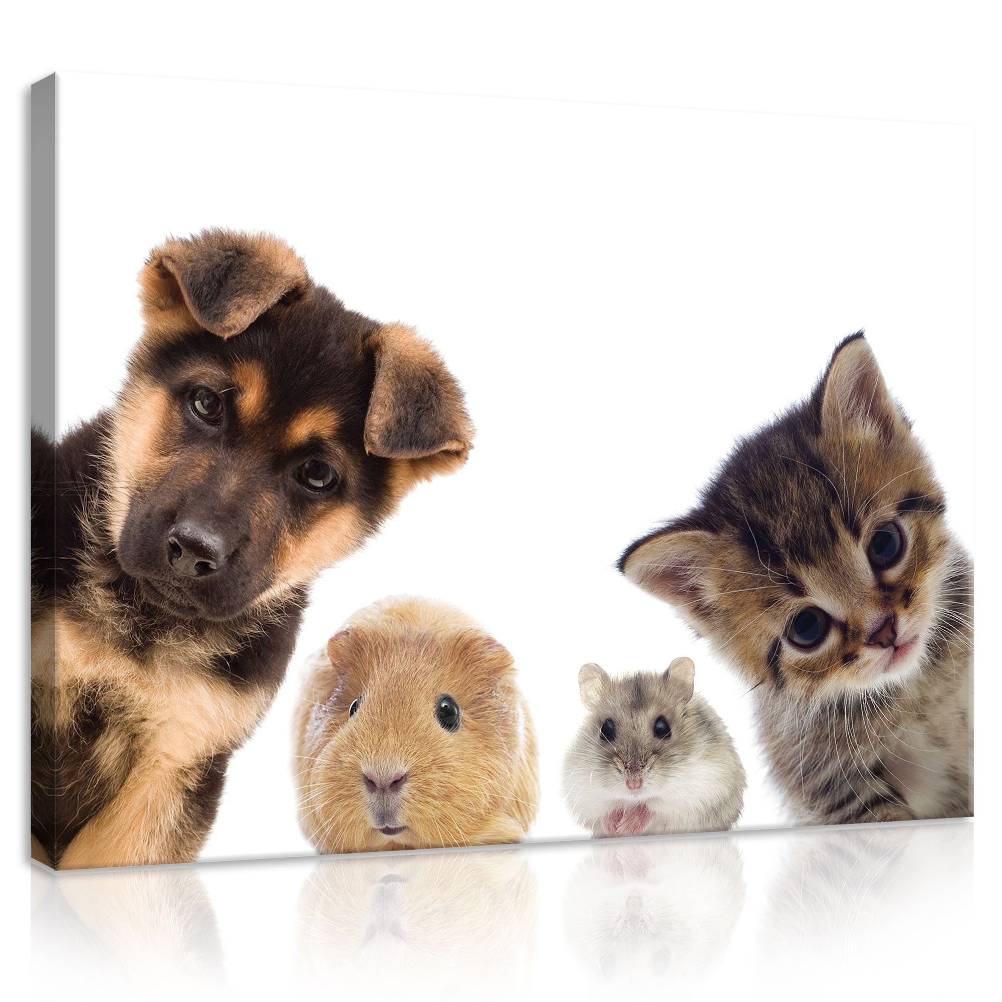 Wallarena Leinwandbild Kinderzimmer Tiere Hund Katze Wandbild Wand Deko Leinwandbilder, Tiere (Einteilig, 1 St), Leinwand Bilder Kinderzimmer Kinder Wandbilder Leinwandbilder