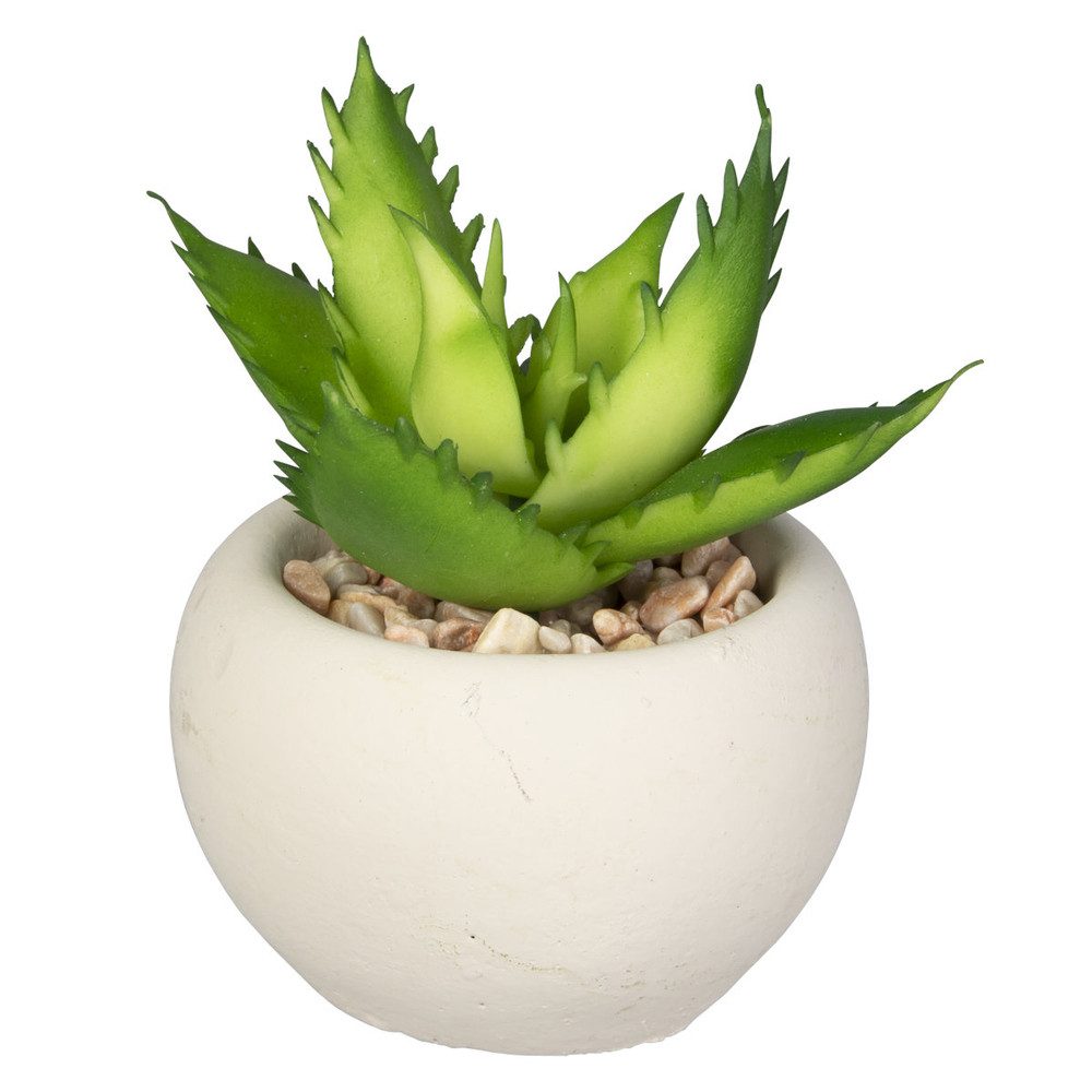 Kunstblume Mini-Sukkulente - 1 Stück, DPI günstig online kaufen